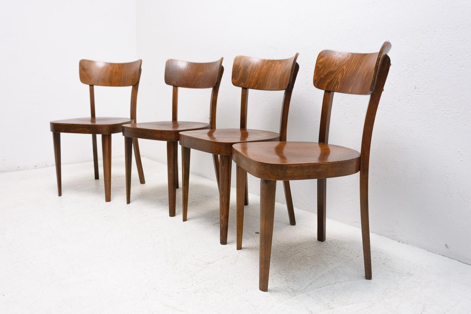 Set of Four TON Dining Chairs, Czechoslovakia, 1950's In Good Condition In Prague 8, CZ