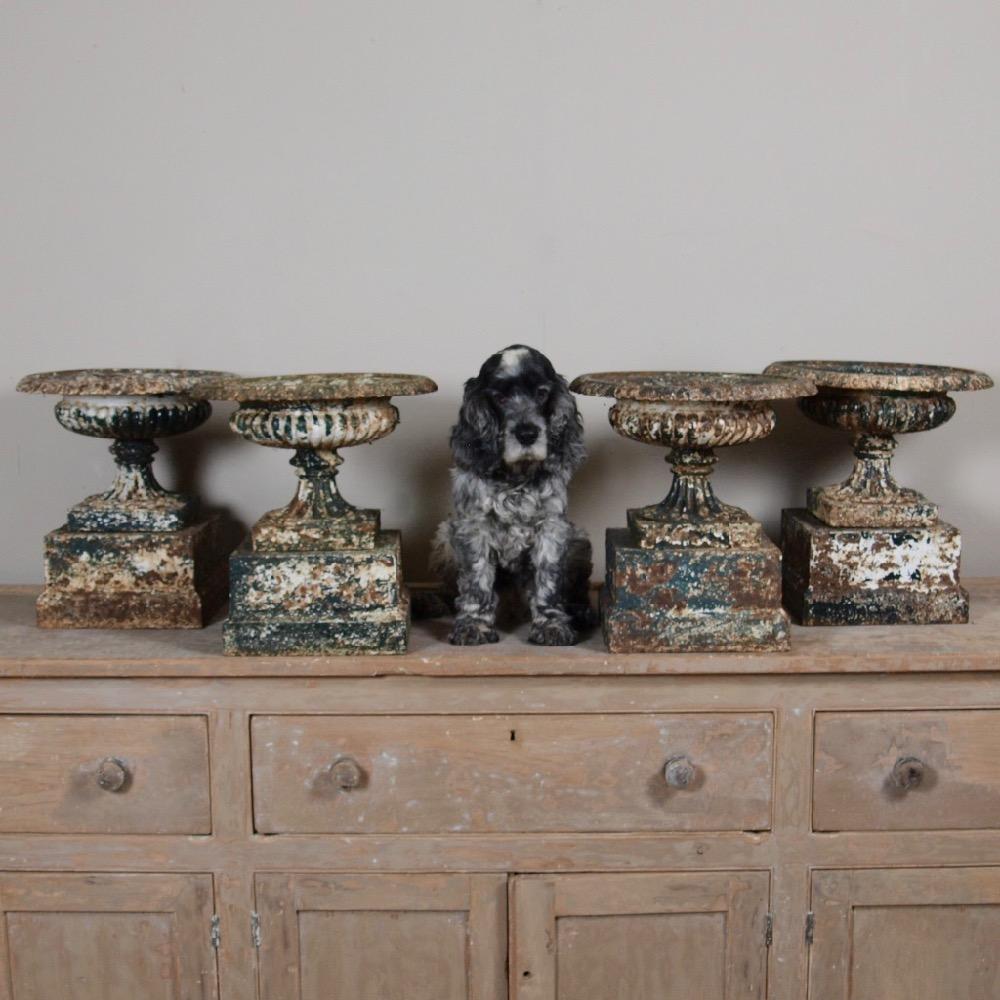 A wonderful set of four 19th century cast iron urns on pedestals. Retaining many layers of ancient paint, which have worn naturally over time to the most wonderful patination. All in very good condition.
English second half of the 19th