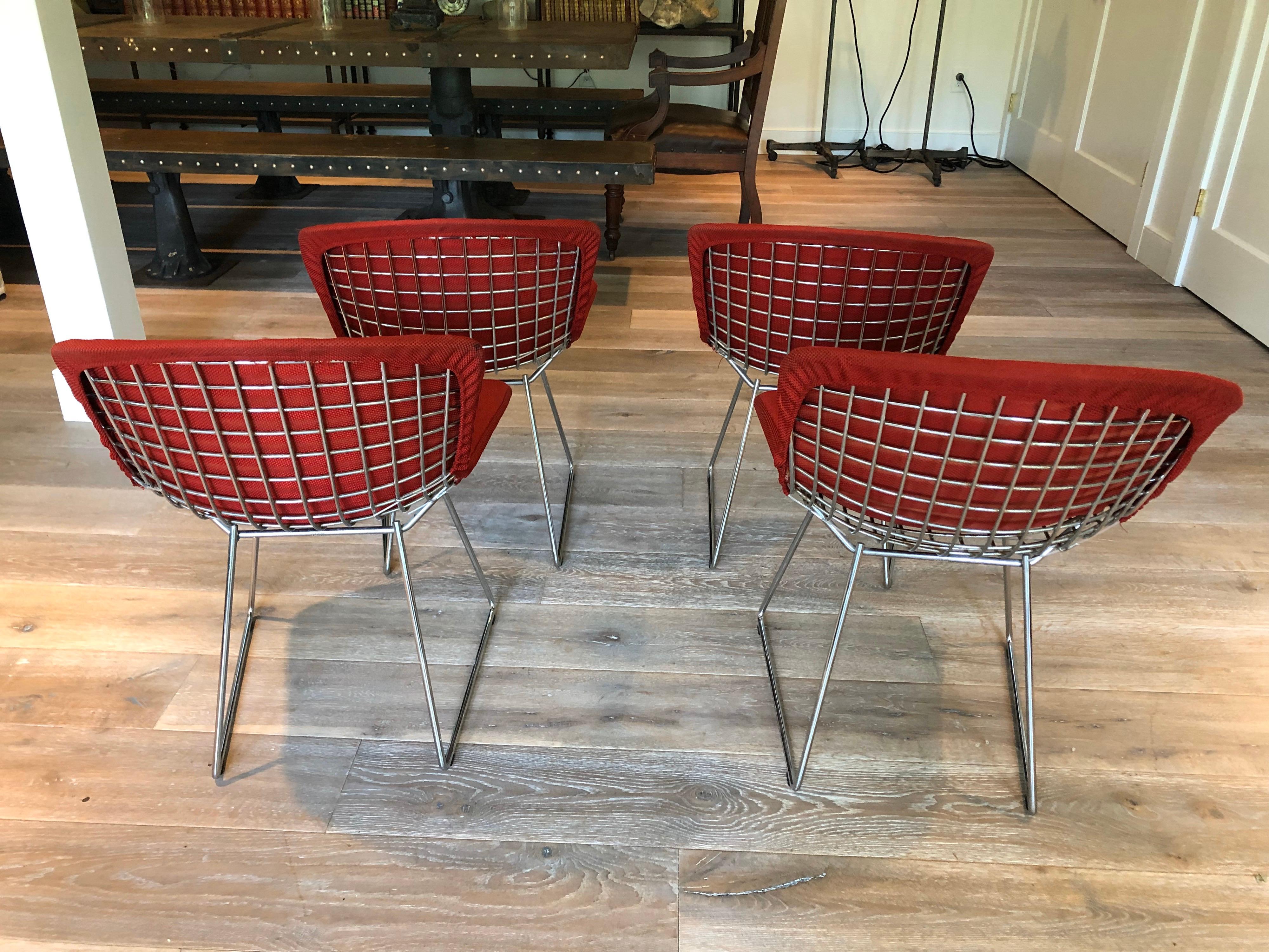 Set of Four Vintage Bertoia Chairs For Sale 3