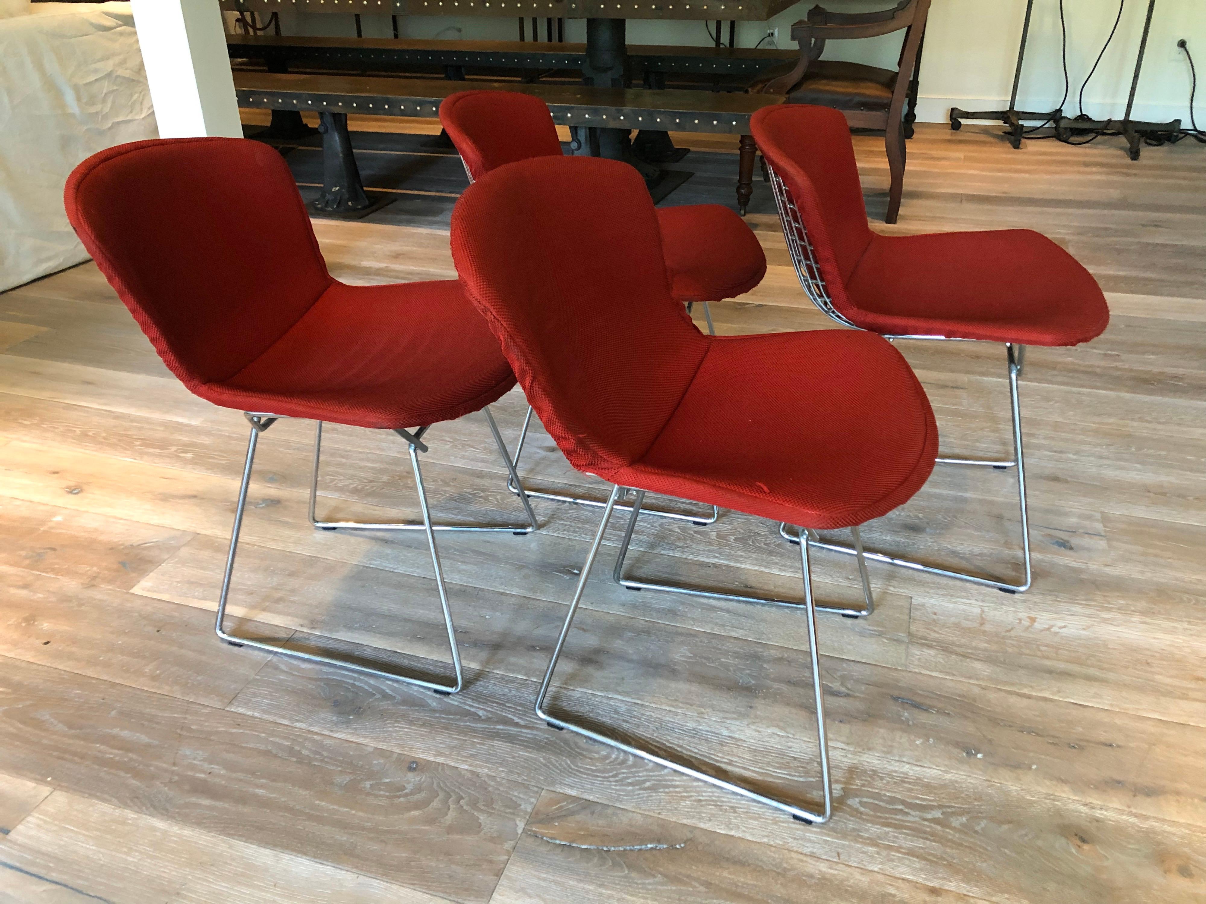 Set of Four Vintage Bertoia Chairs For Sale 5