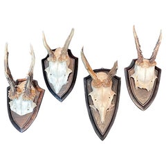 Set of Four Vintage Black Forest Deer Antler Trophy on Wood Carved Plaque, 1970s
