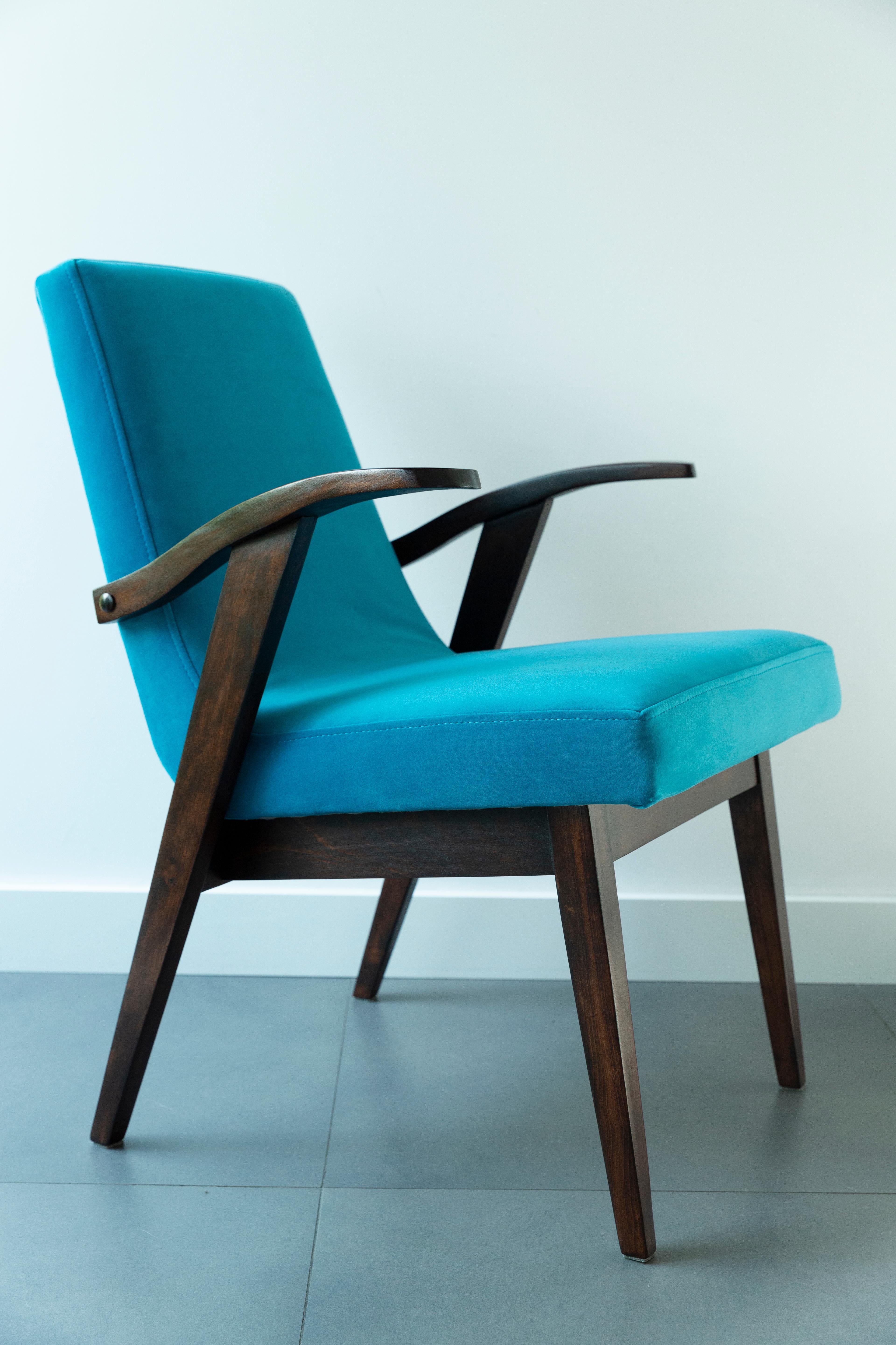 Chaises conçues par Mieczyslaw Puchala. Le bois brun foncé associé à un beau velours bleu lui confère élégance et noblesse. Les chaises ont fait l'objet d'une rénovation complète de la menuiserie et de la tapisserie. Le bois est en excellent état