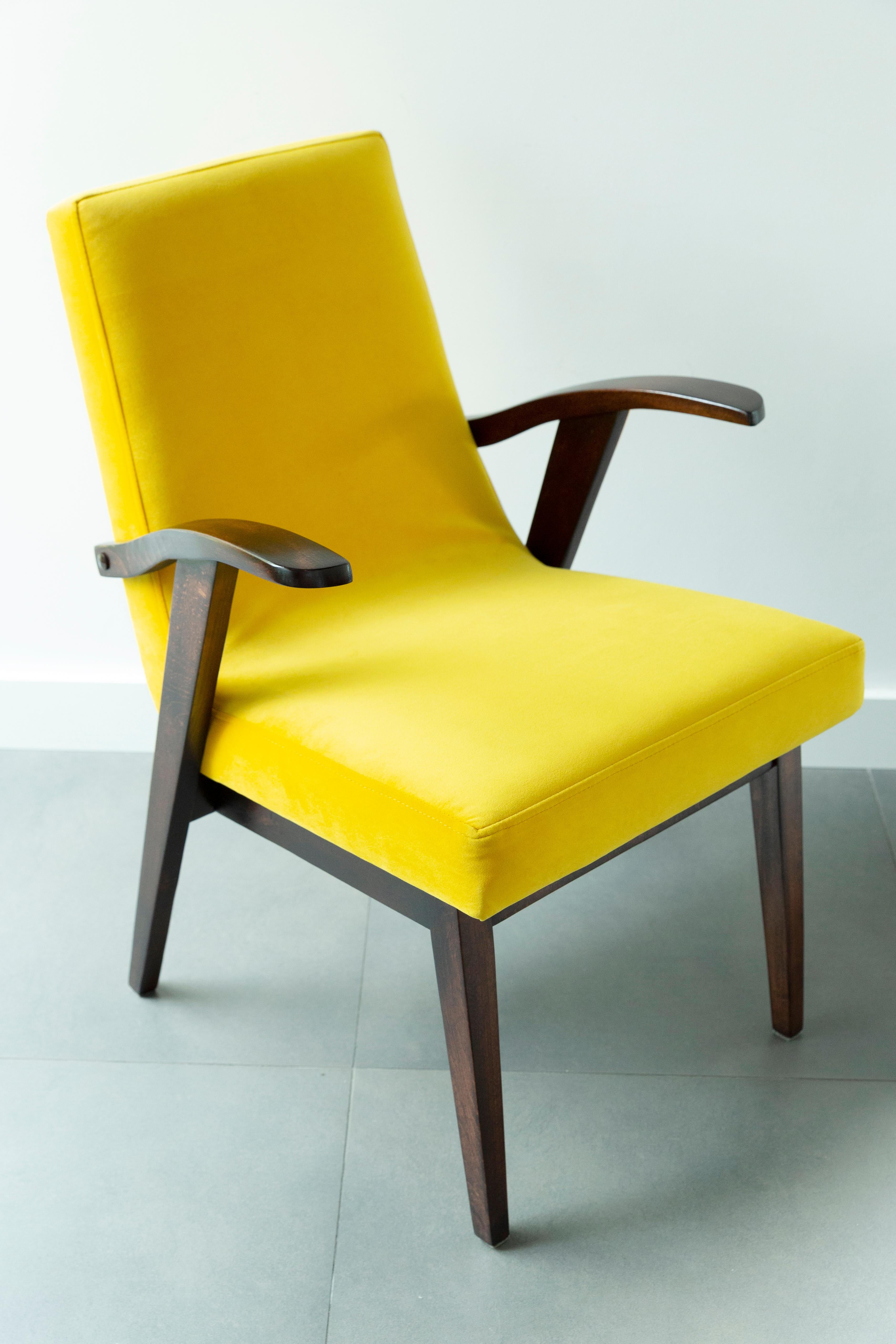 Satz von vier Vintage-Stühlen aus gelbem Samt von Mieczyslaw Puchala, 1960er Jahre (Textil) im Angebot