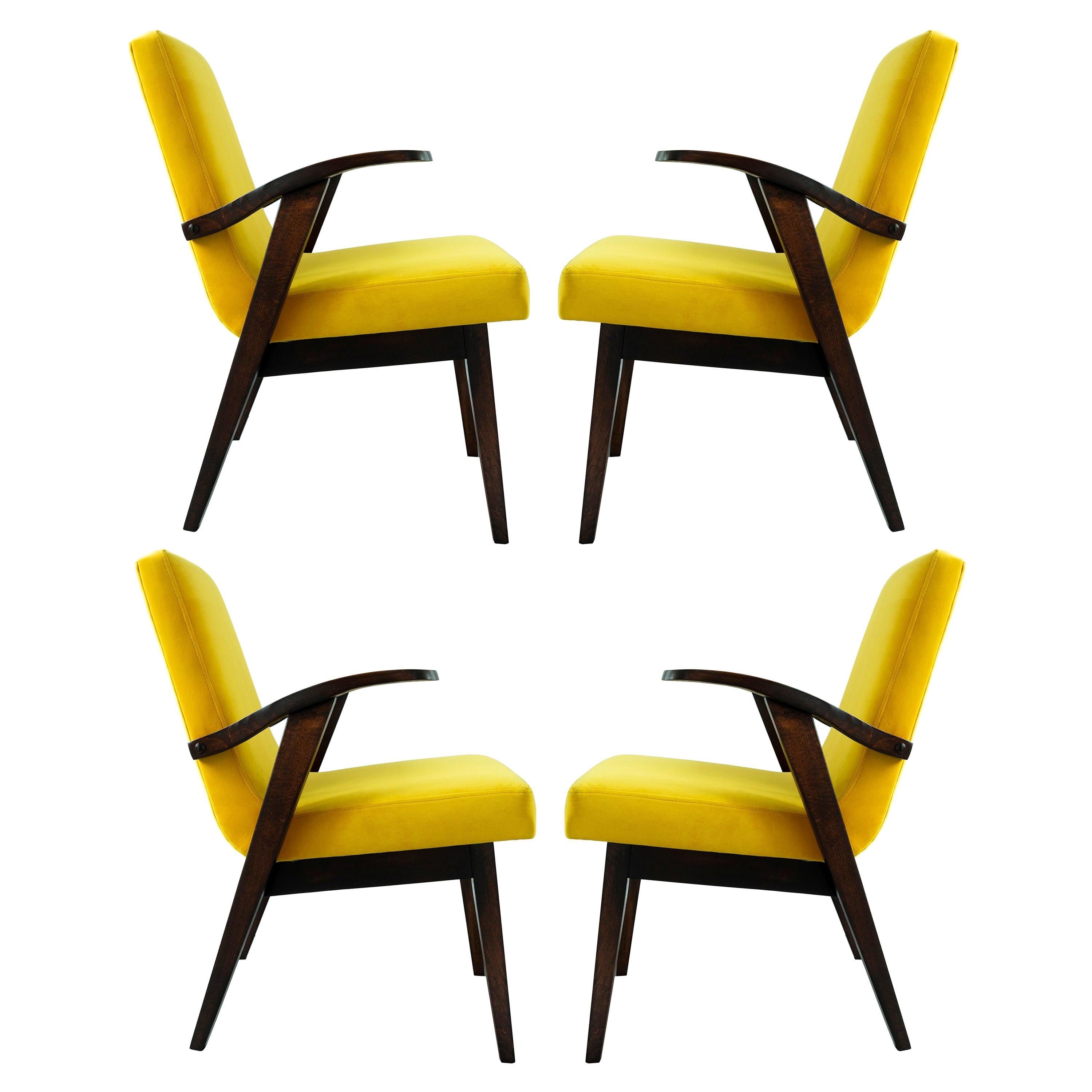 Set of Four Vintage Chairs in Yellow Velvet by Mieczyslaw Puchala, 1960s For Sale