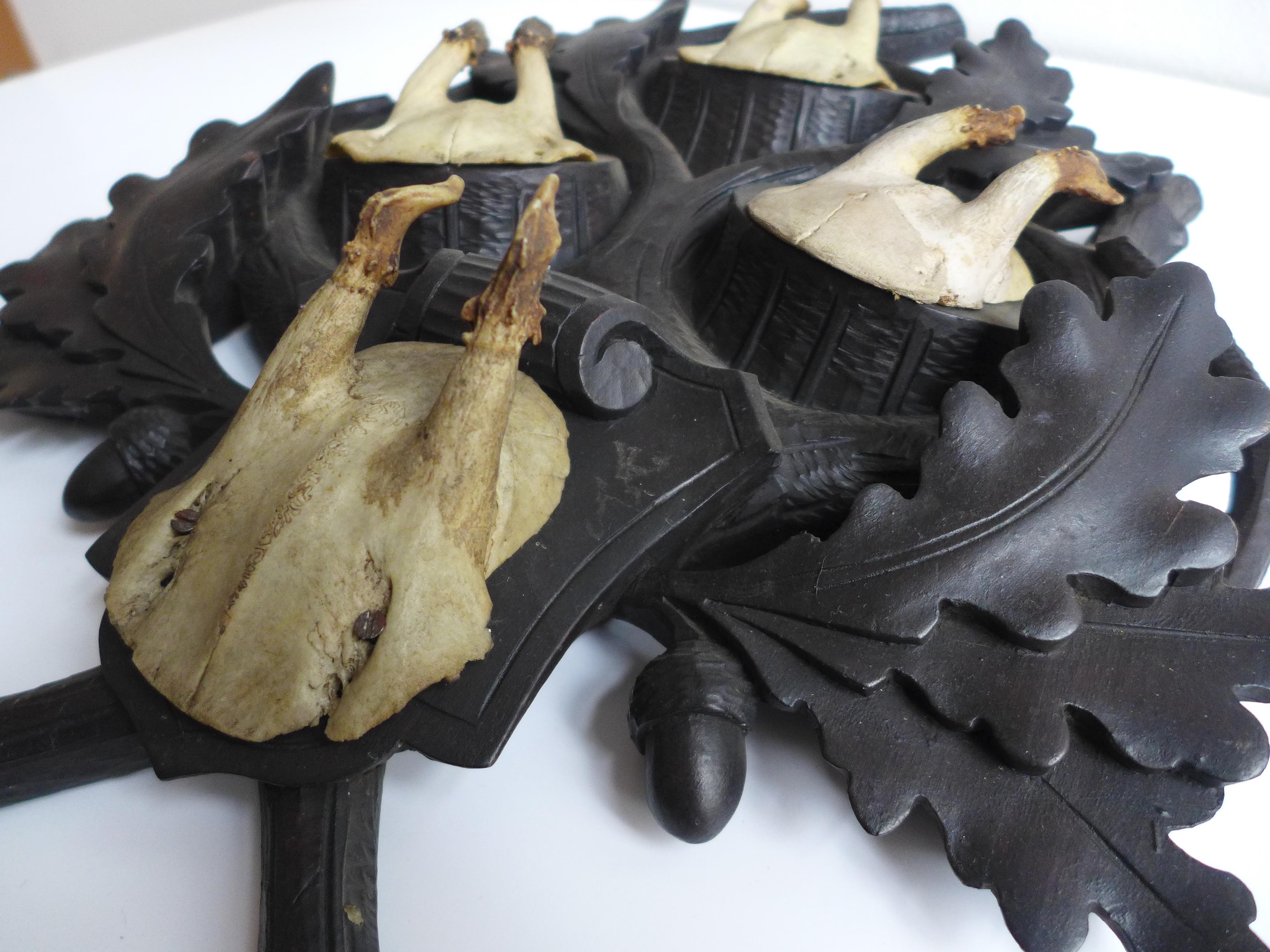 Vier Hirschgeweihe aus dem Jahr 1900, die in eine geschnitzte Holztafel eingearbeitet sind, die elegant von Eichenblättern flankiert wird. Ein schönes Beispiel für traditionelle mitteleuropäische Handwerkskunst, die natürliche Schönheit mit