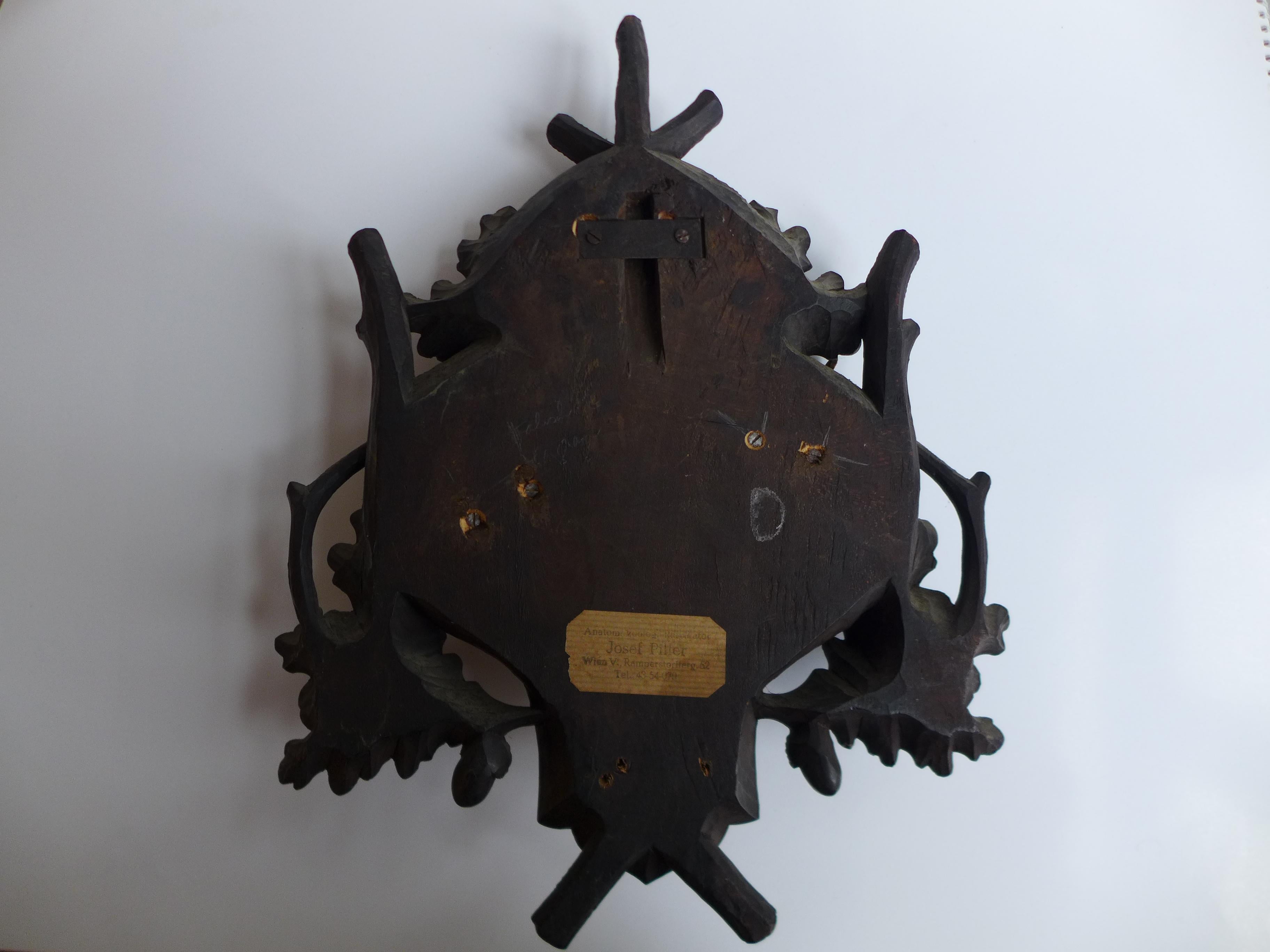 Satz von vier Hirschgeweihen 1900 auf handgeschnitztem Holz, Schwarzwald-Australien (Volkskunst) im Angebot