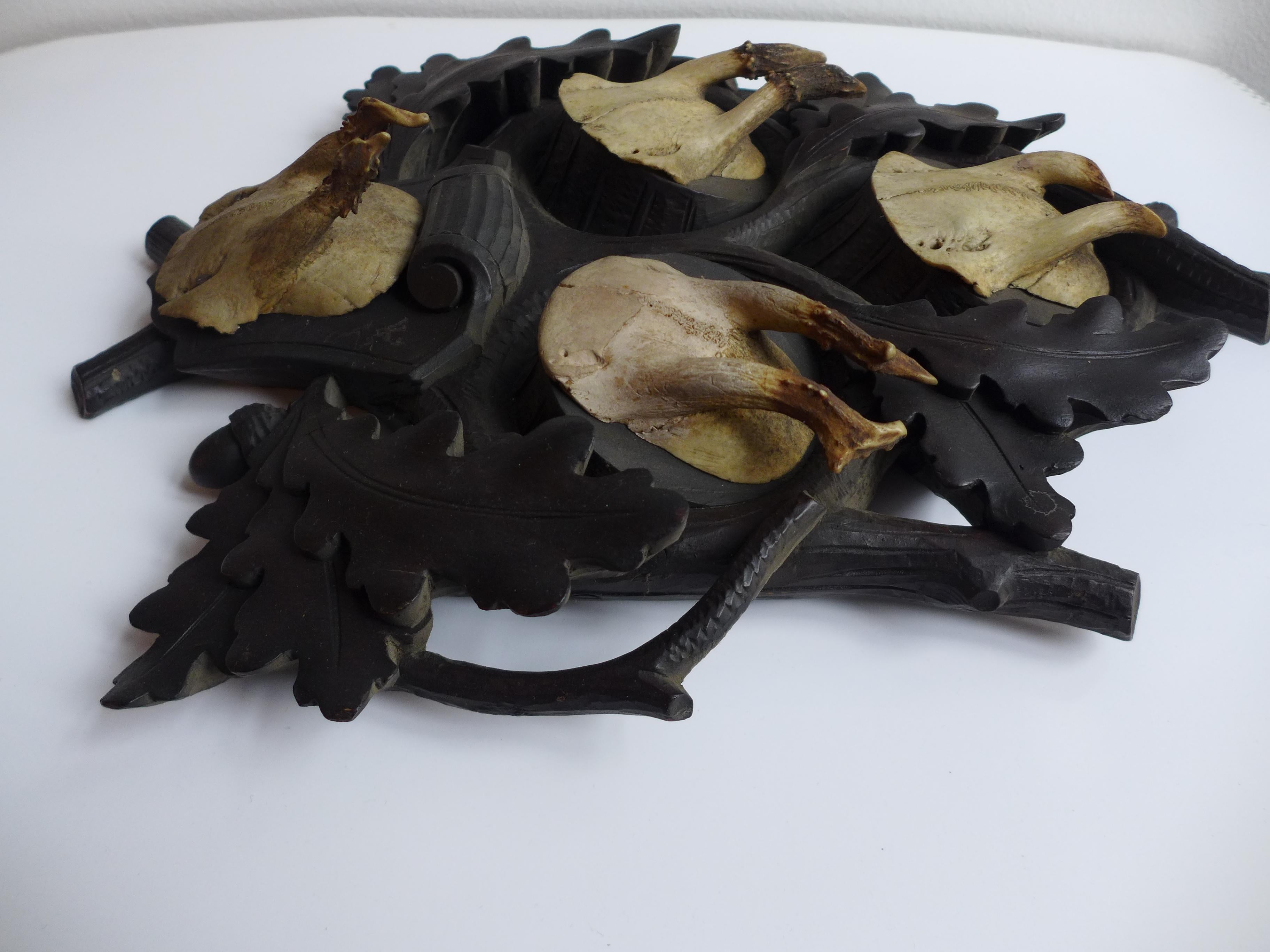 Satz von vier Hirschgeweihen 1900 auf handgeschnitztem Holz, Schwarzwald-Australien (Österreichisch) im Angebot