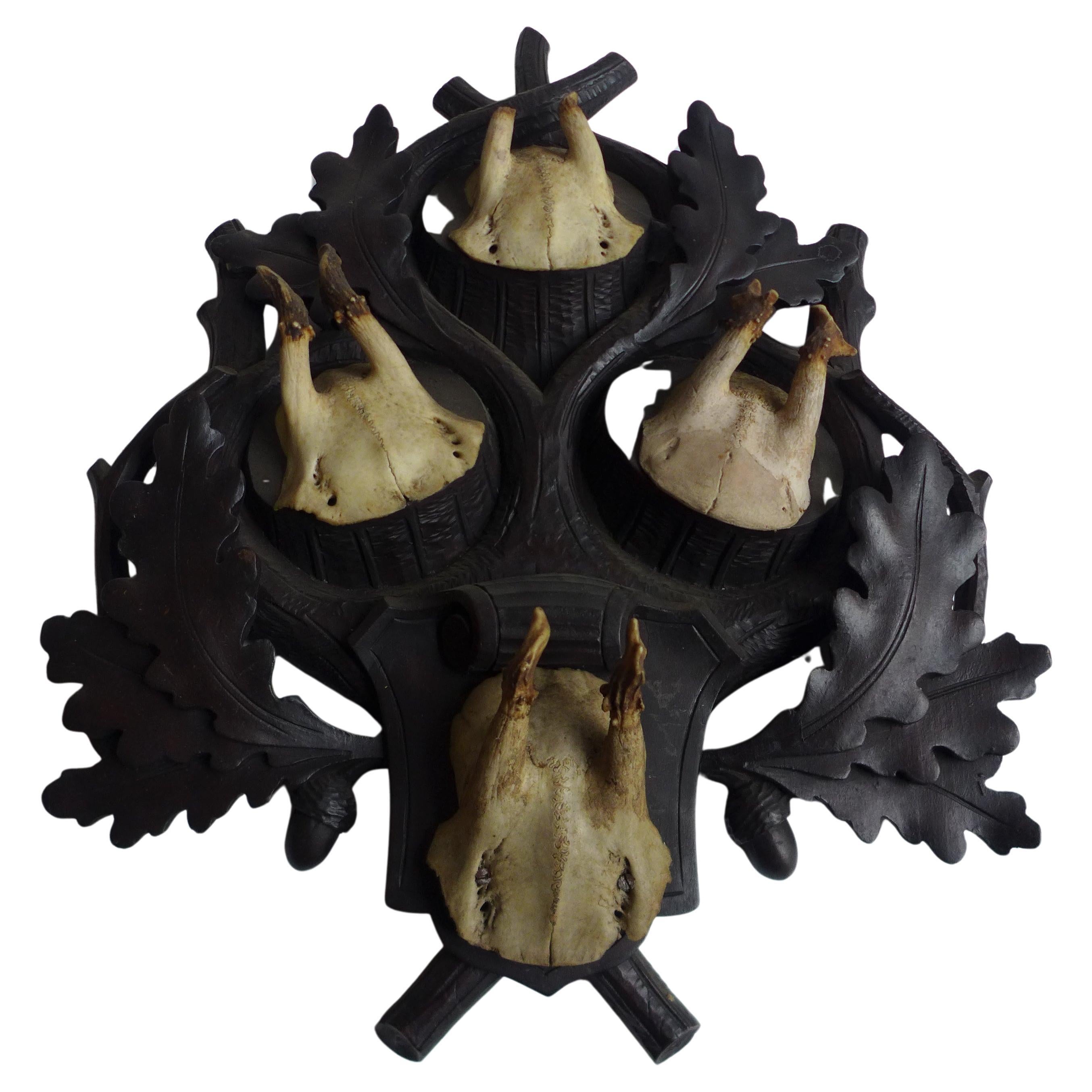 Satz von vier Hirschgeweihen 1900 auf handgeschnitztem Holz, Schwarzwald-Australien im Angebot