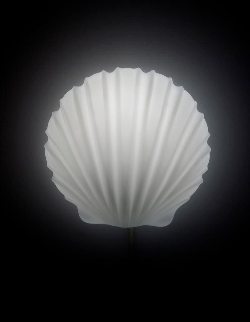 Mid-20th Century Set of Four Vintage White Glass Shell Wall Lights Flush Mounts For Sale