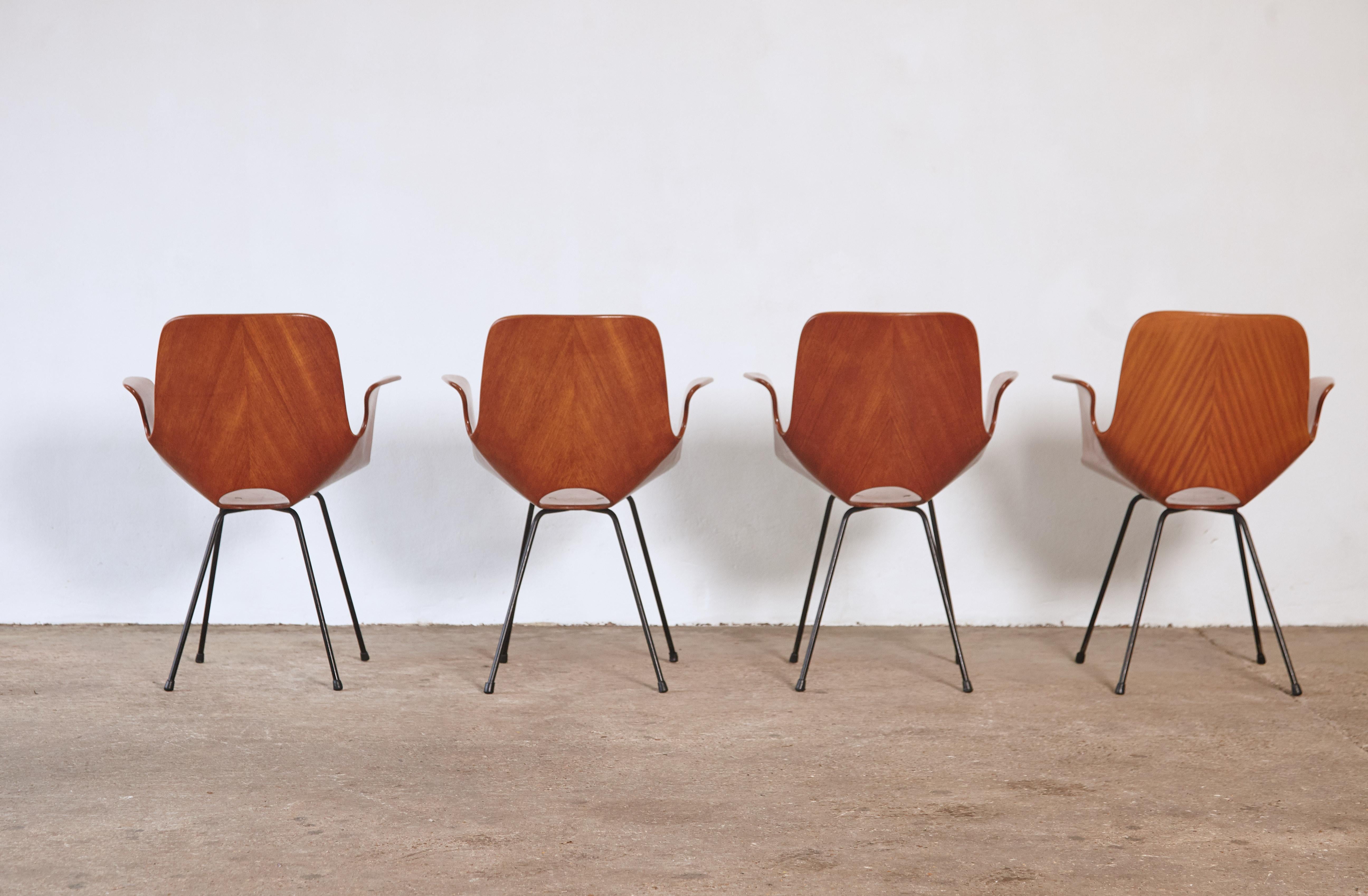 20ième siècle Ensemble de quatre chaises Medea de Vittorio Nobili pour Fratelli Tagliabue, Italie, années 1950 en vente