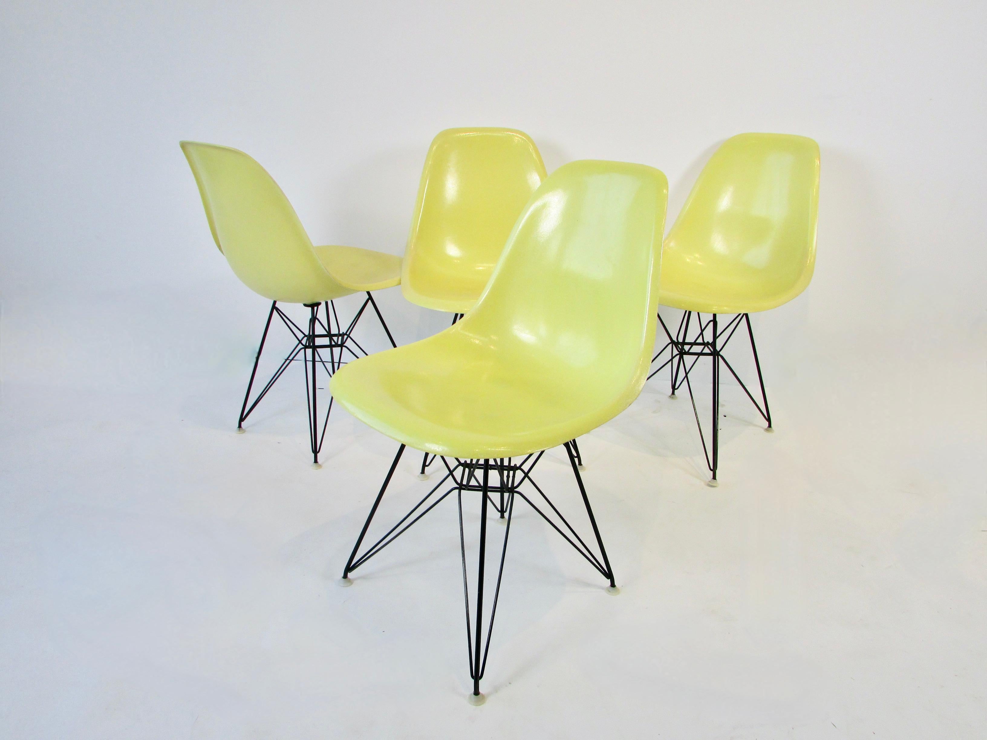 Set aus vier lebhaften gelben Eames DSR-Stühlen aus Glasfaser auf schwarzen Eiffelturm-Sockeln (Geschweißt) im Angebot