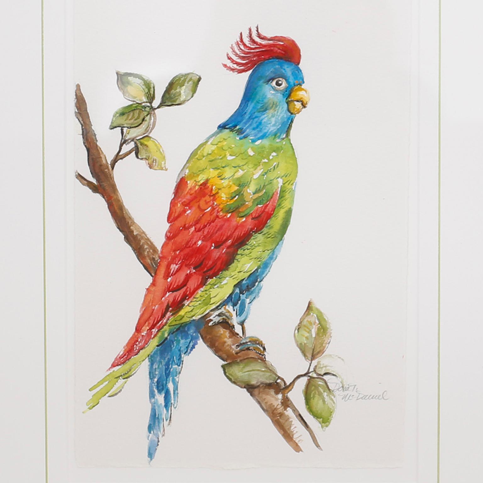 Set of Four Watercolor Paintings of Parrots 5