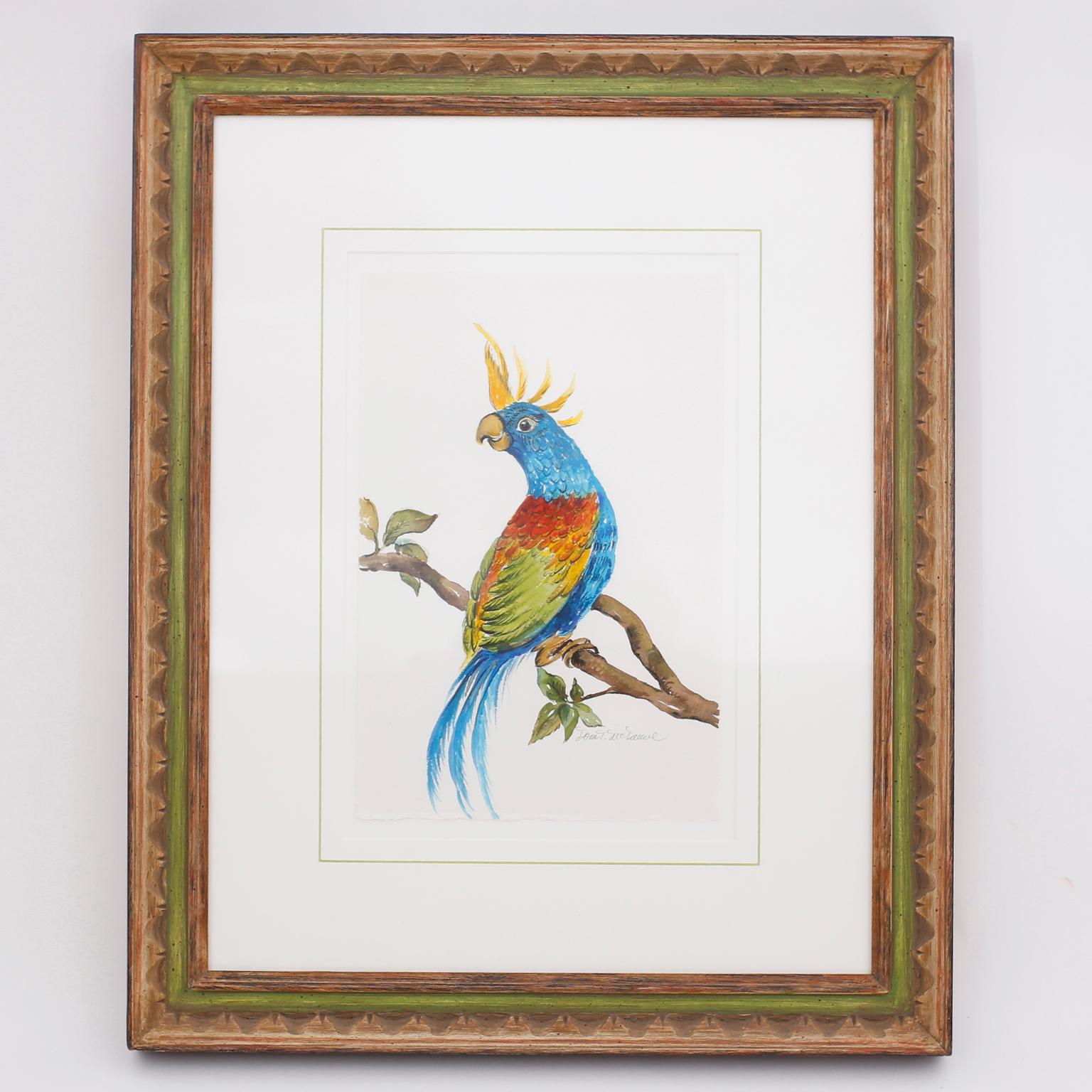 British Colonial Set of Four Watercolor Paintings of Parrots