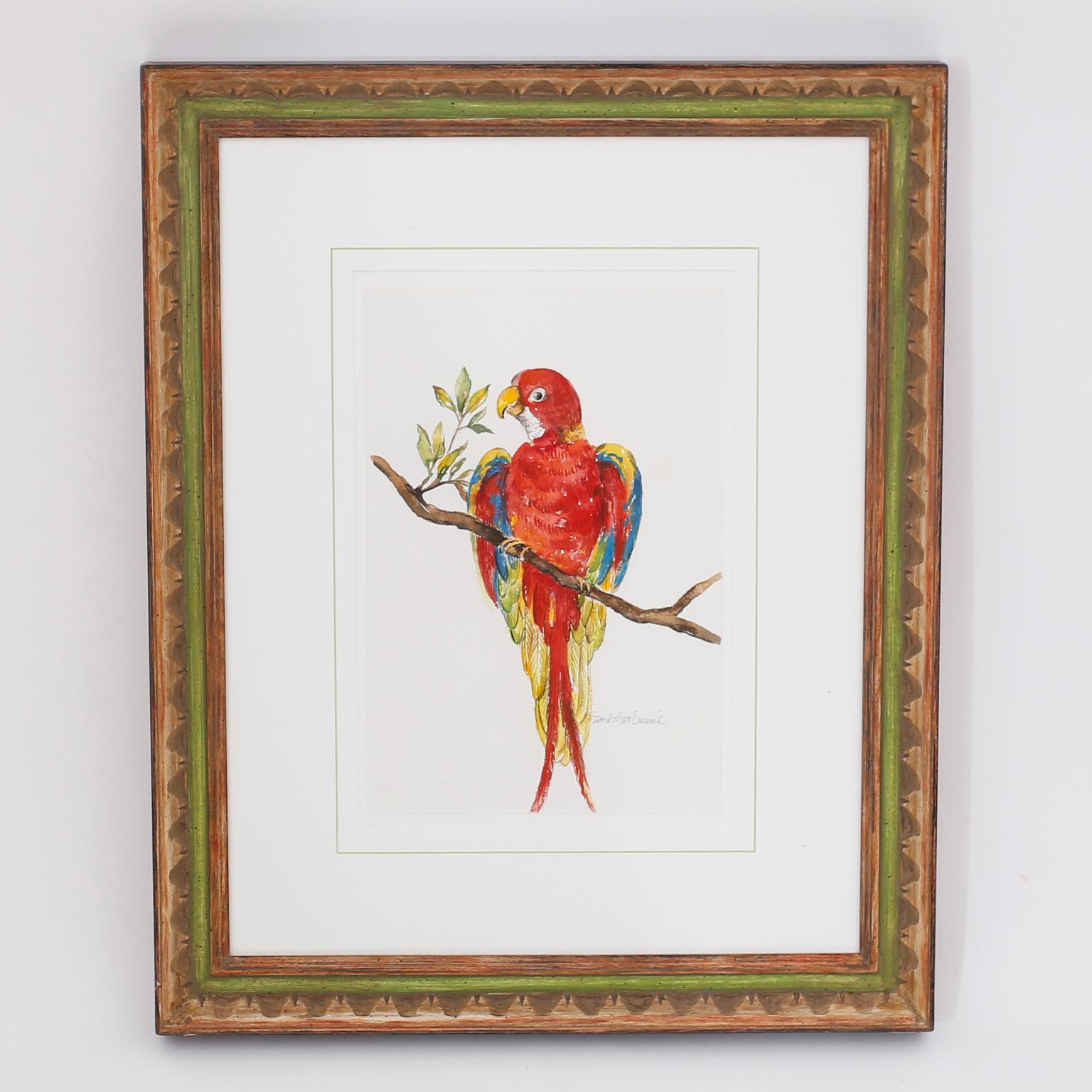 Set of Four Watercolor Paintings of Parrots In Good Condition In Palm Beach, FL