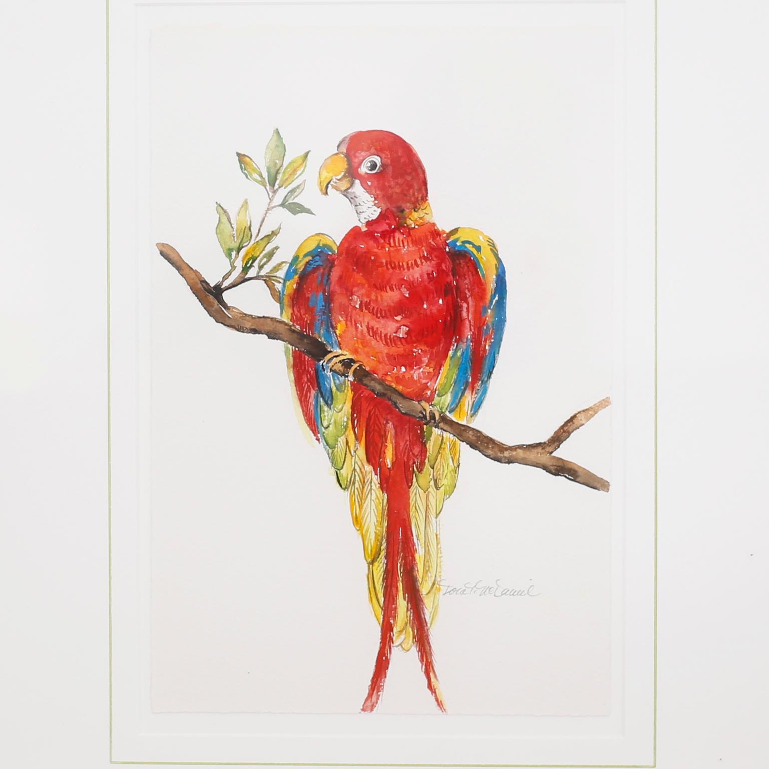 20th Century Set of Four Watercolor Paintings of Parrots