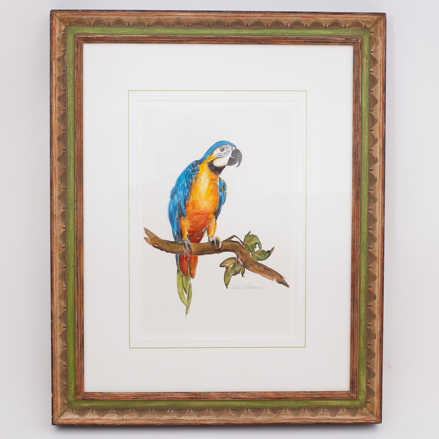 Set of Four Watercolor Paintings of Parrots 1