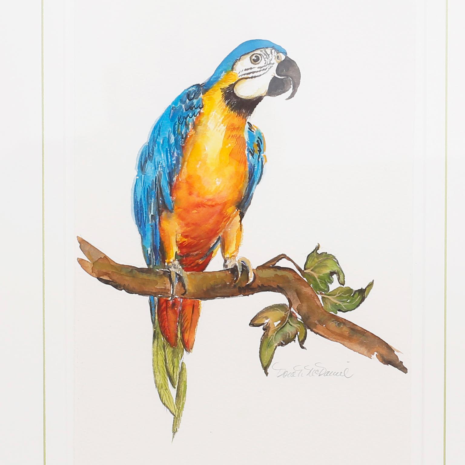 Set of Four Watercolor Paintings of Parrots 2