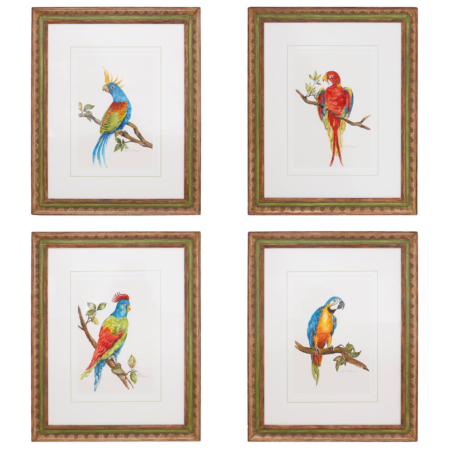 Set of Four Watercolor Paintings of Parrots
