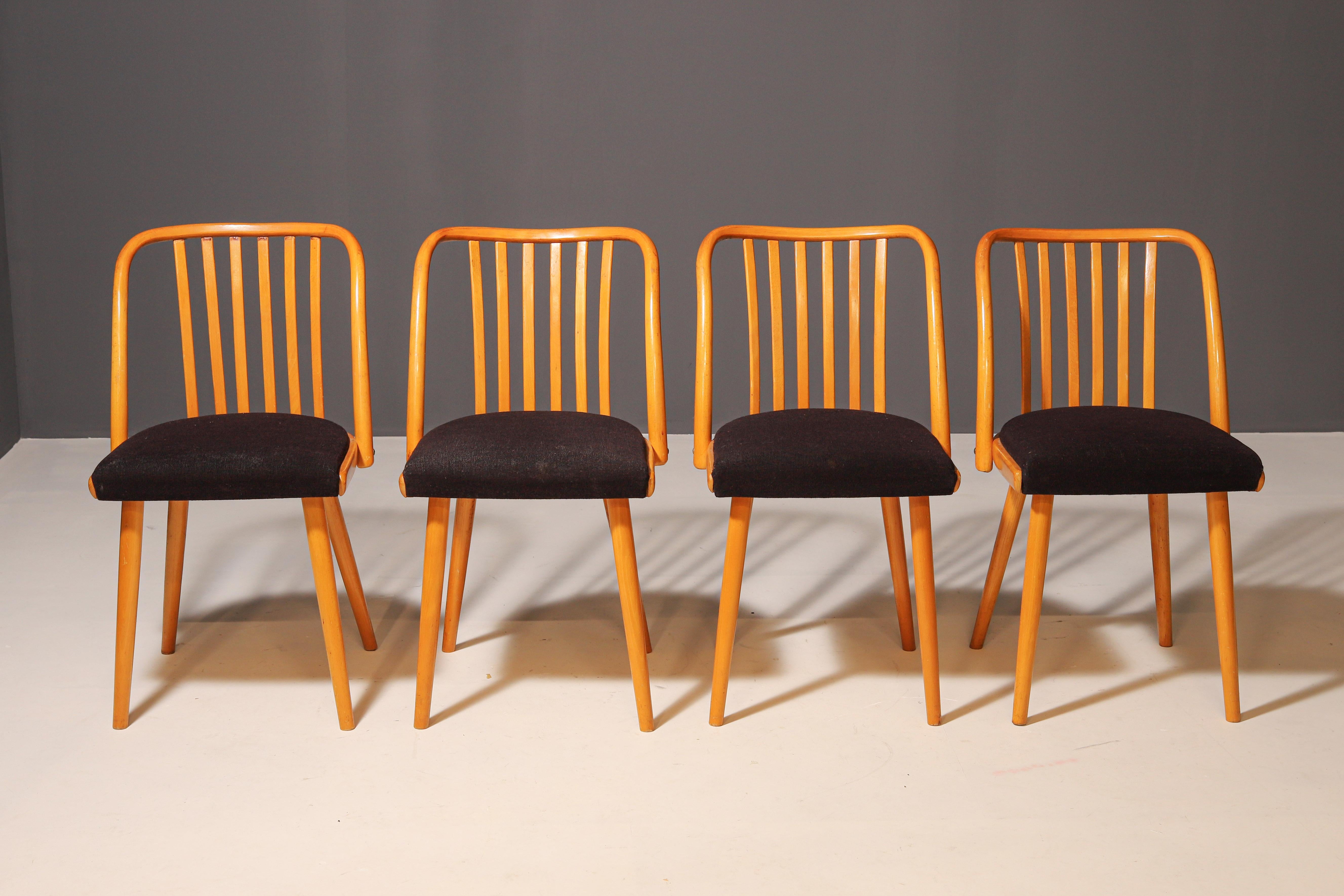 Cet ensemble de quatre élégantes chaises en bois a été conçu par le célèbre designer tchèque Antonín Šuman. Son travail se caractérise par des lignes simples mais réfléchies et un artisanat de haute qualité, ce qui est évident dans ce design