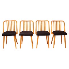 Vintage Set of Four Wooden Chairs  Antonín Šuman, 20th Century