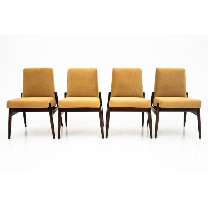 Armchair type 300-227, unusual model but captivating with its minimalism. Design without armrests, turned legs made of beech sawn timber. These armchairs were produced in the 1960s by Zamojskie Fabryki Mebli. The model fits perfectly into the