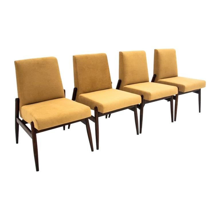 Set of Four Yellow Chairs Type 300-227, Zamojskie Fabryki Mebli, Poland, 1960s