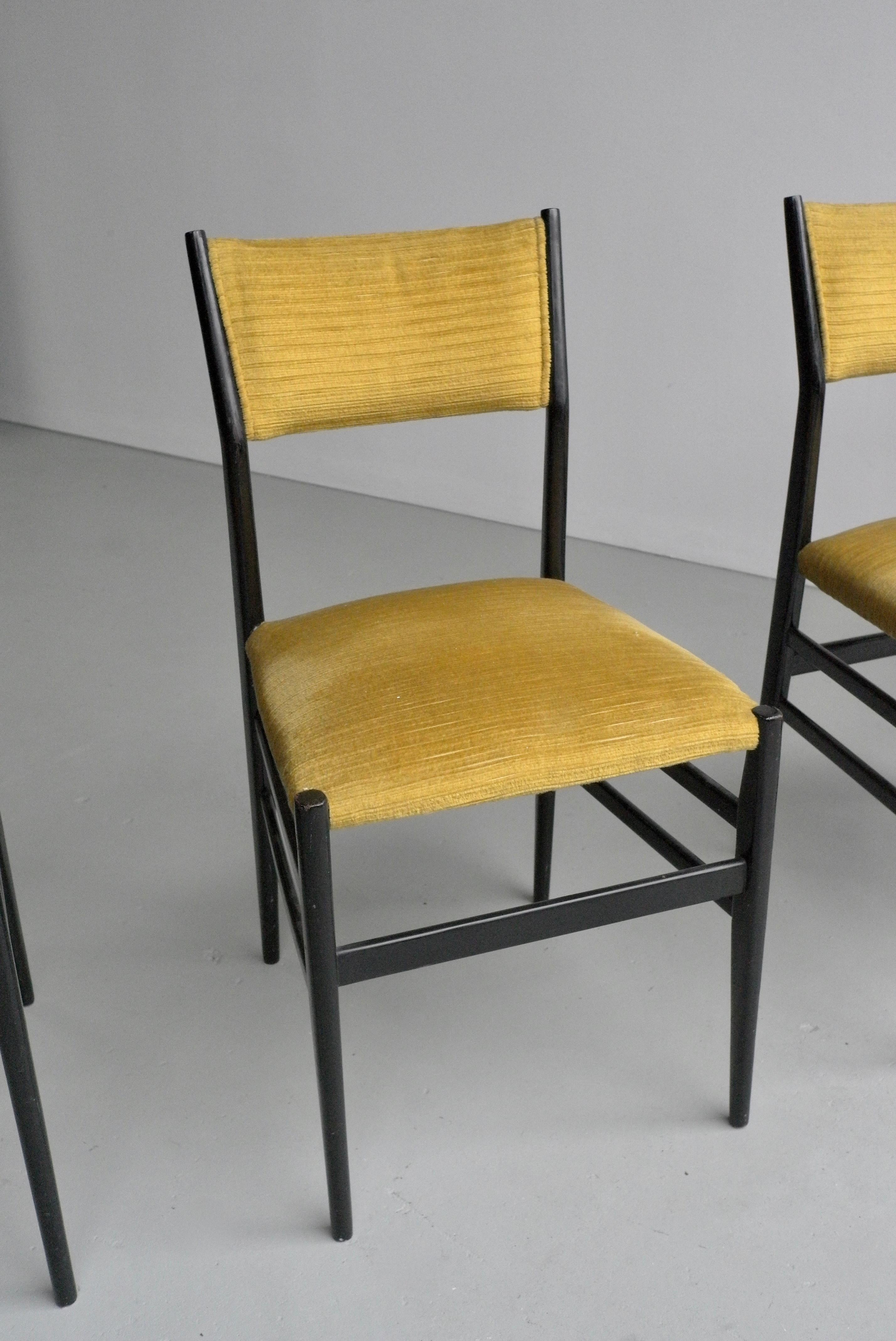 Set of Four Yellow Velvet Leggera Chairs 646/3 by Gio Ponti, Italy, 1954  5