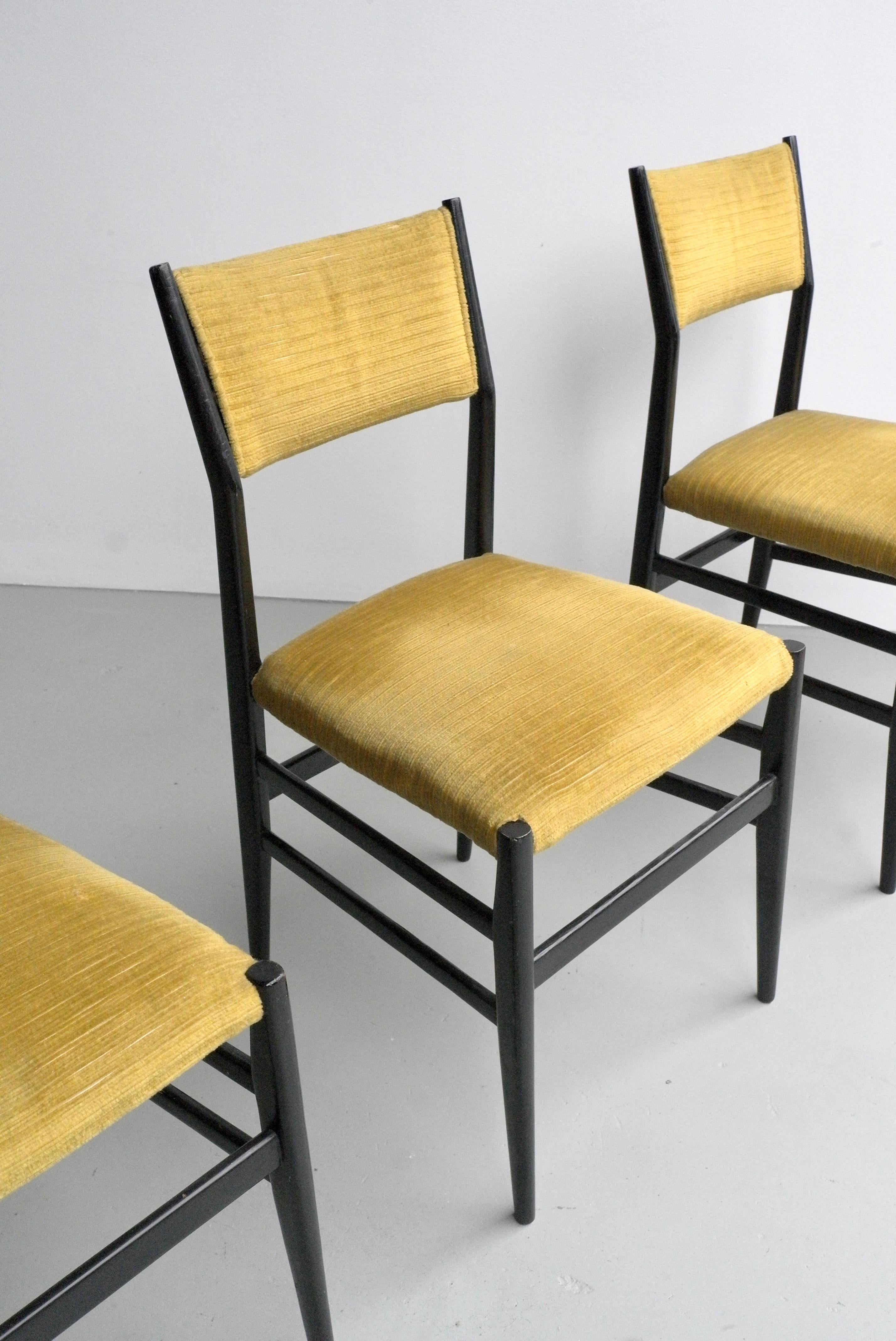 Italian Set of Four Yellow Velvet Leggera Chairs 646/3 by Gio Ponti, Italy, 1954 
