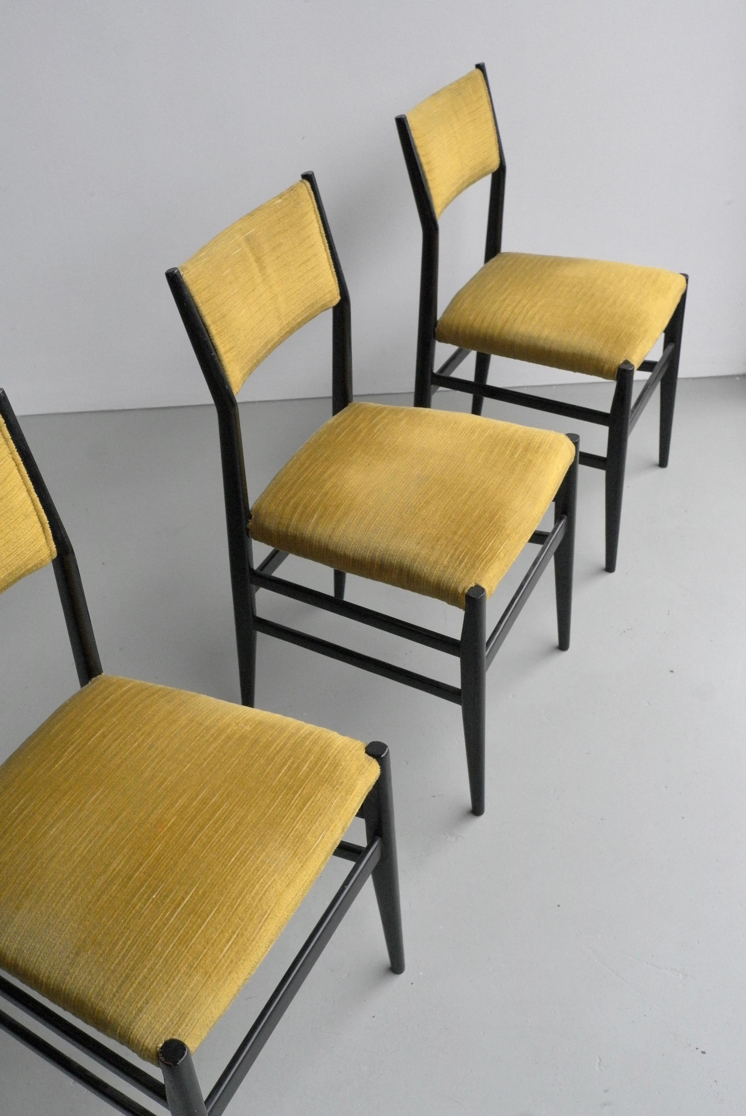 20th Century Set of Four Yellow Velvet Leggera Chairs 646/3 by Gio Ponti, Italy, 1954 