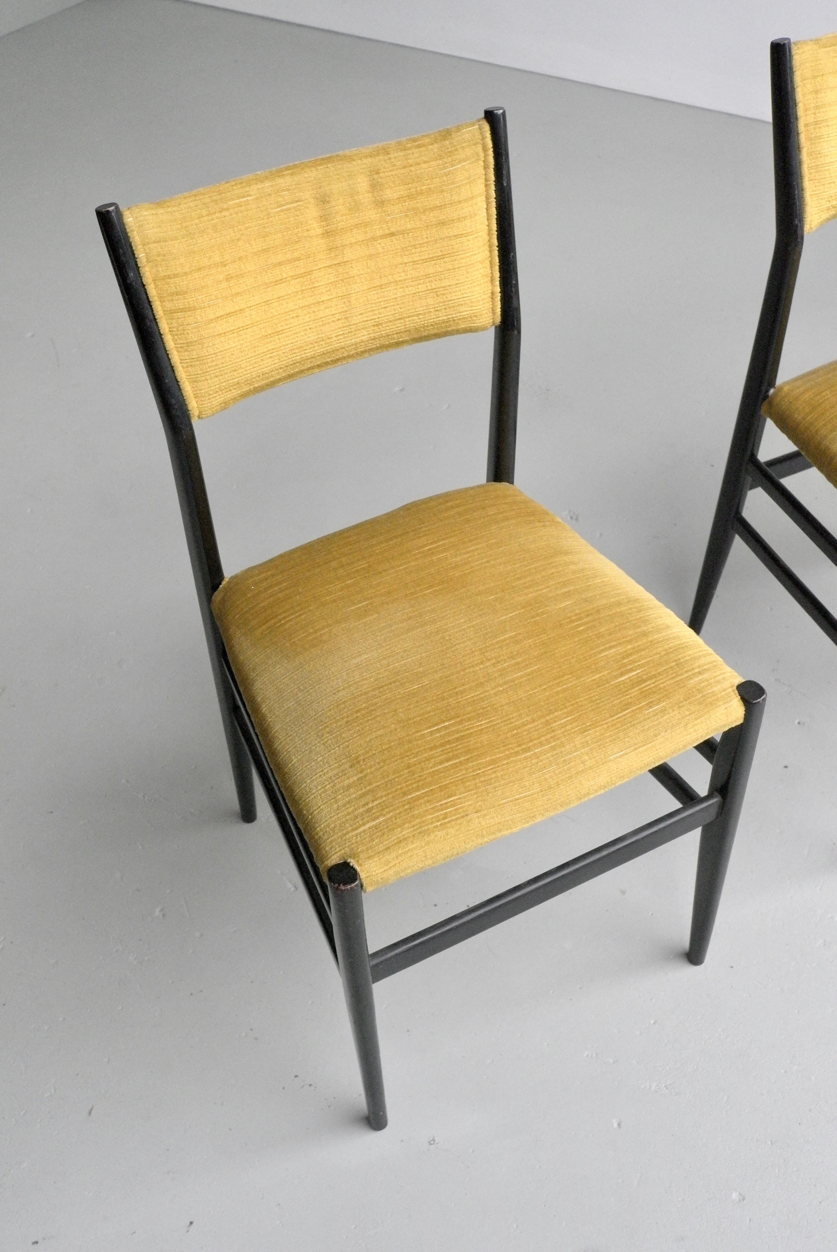 Set of Four Yellow Velvet Leggera Chairs 646/3 by Gio Ponti, Italy, 1954  2