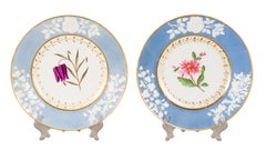 Set of Fourteen Chamberlains Worcester Botanical Dessert Plates