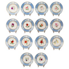 Set of Fourteen Chamberlains Worcester Botanical Dessert Plates