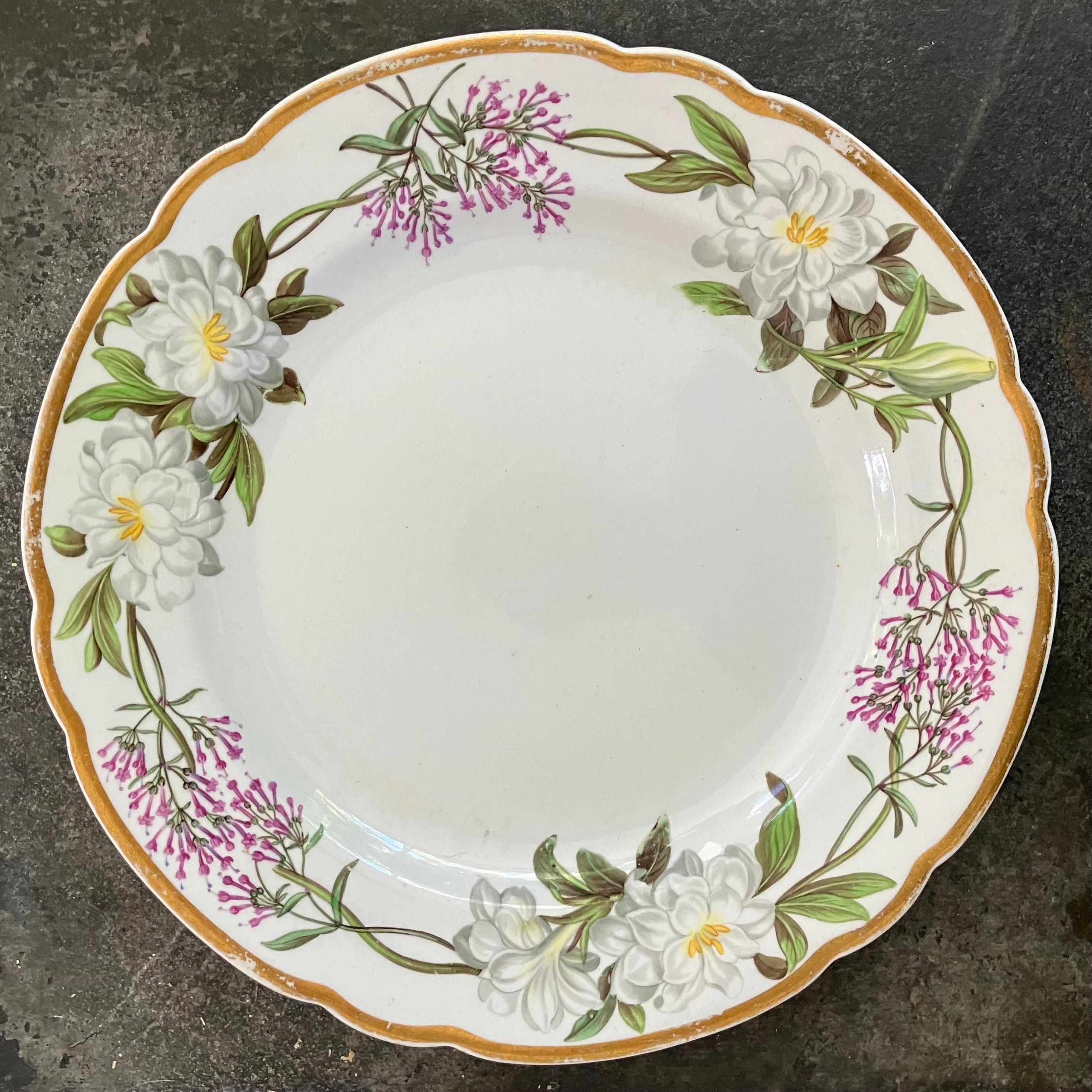 Ensemble de quatorze assiettes à fleurs Spode en vente 3