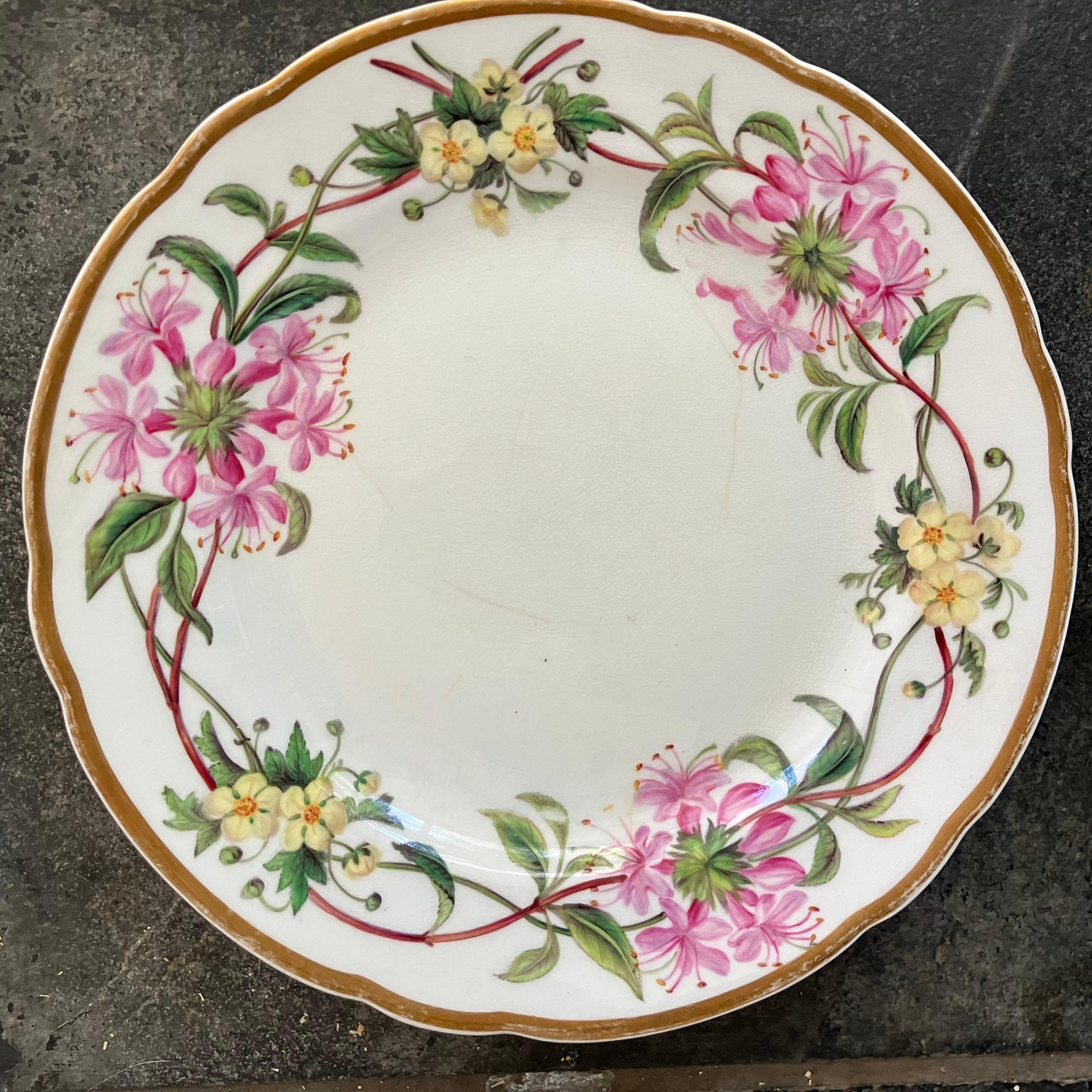 Ensemble de quatorze assiettes à fleurs Spode en vente 4