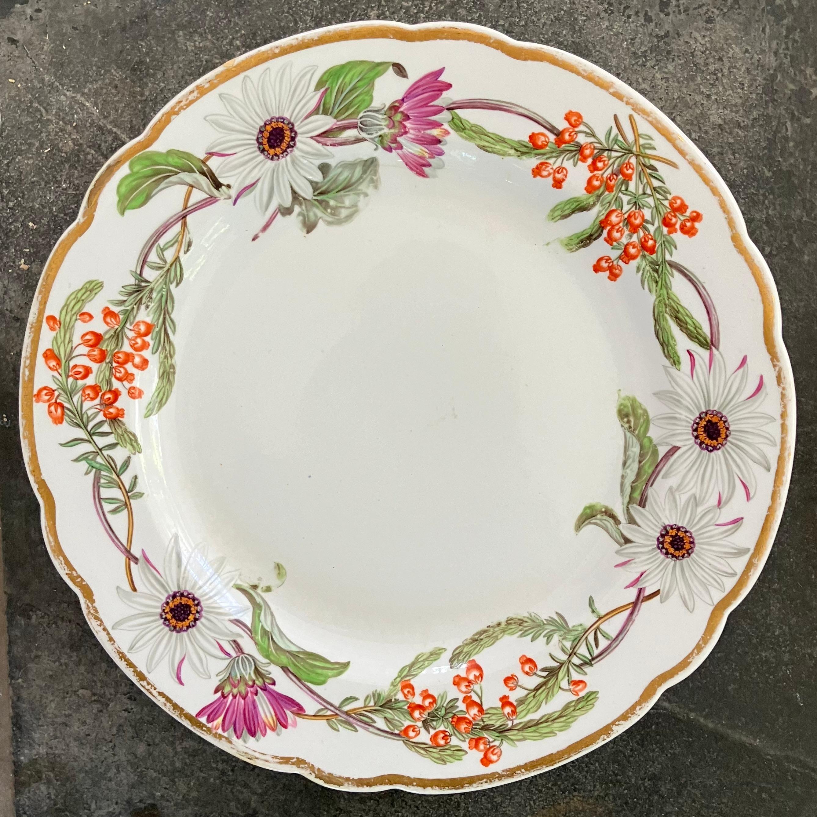 Ensemble de quatorze assiettes à fleurs Spode en vente 6