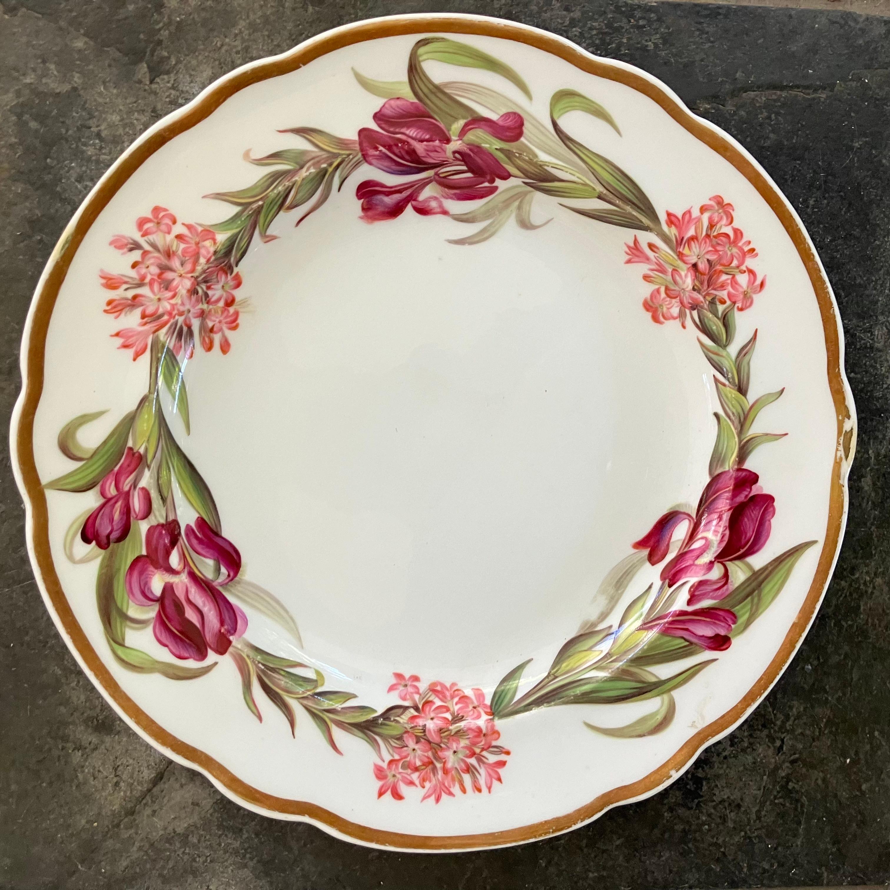 Ensemble de quatorze assiettes à fleurs Spode en vente 7
