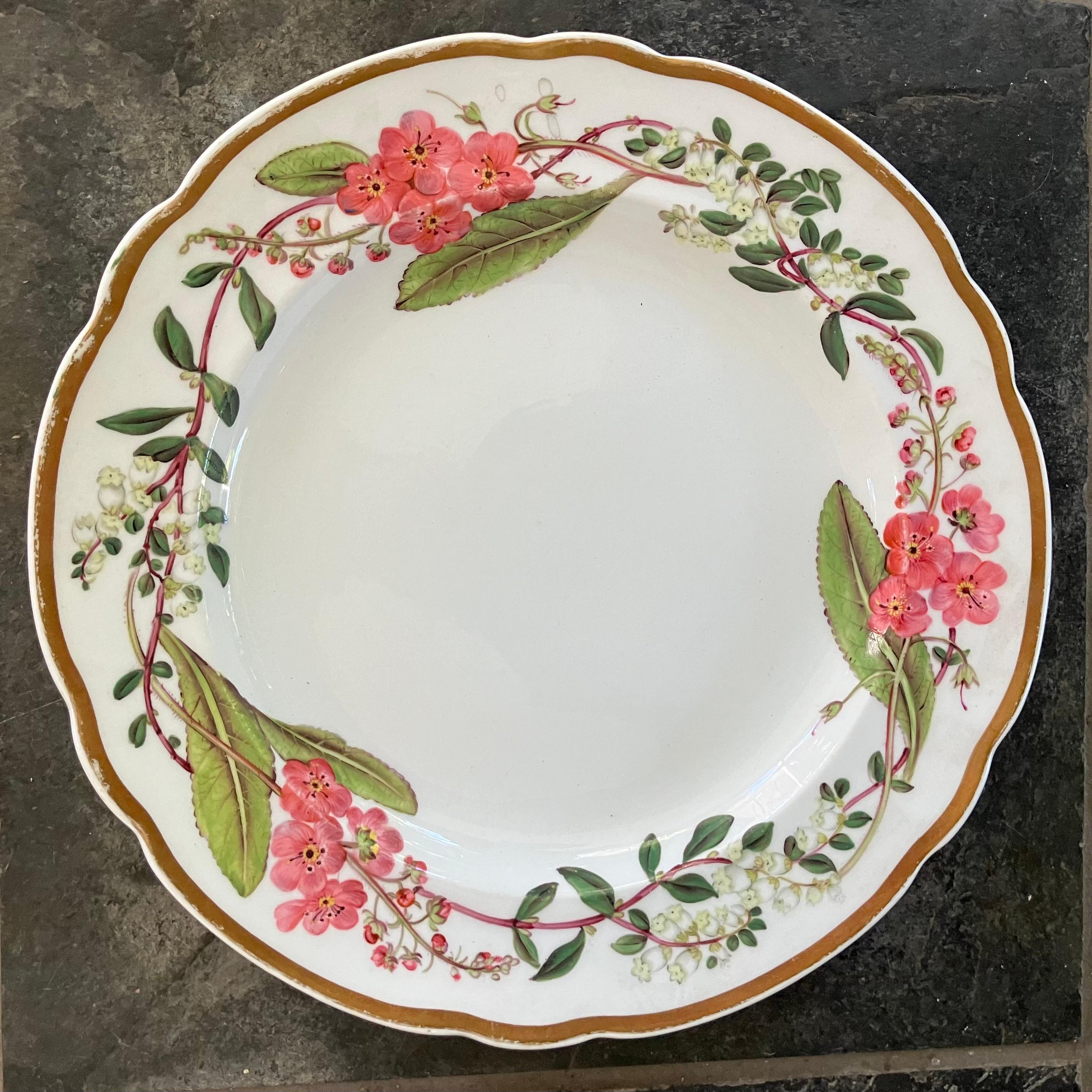 Ensemble de quatorze assiettes à fleurs Spode en vente 8