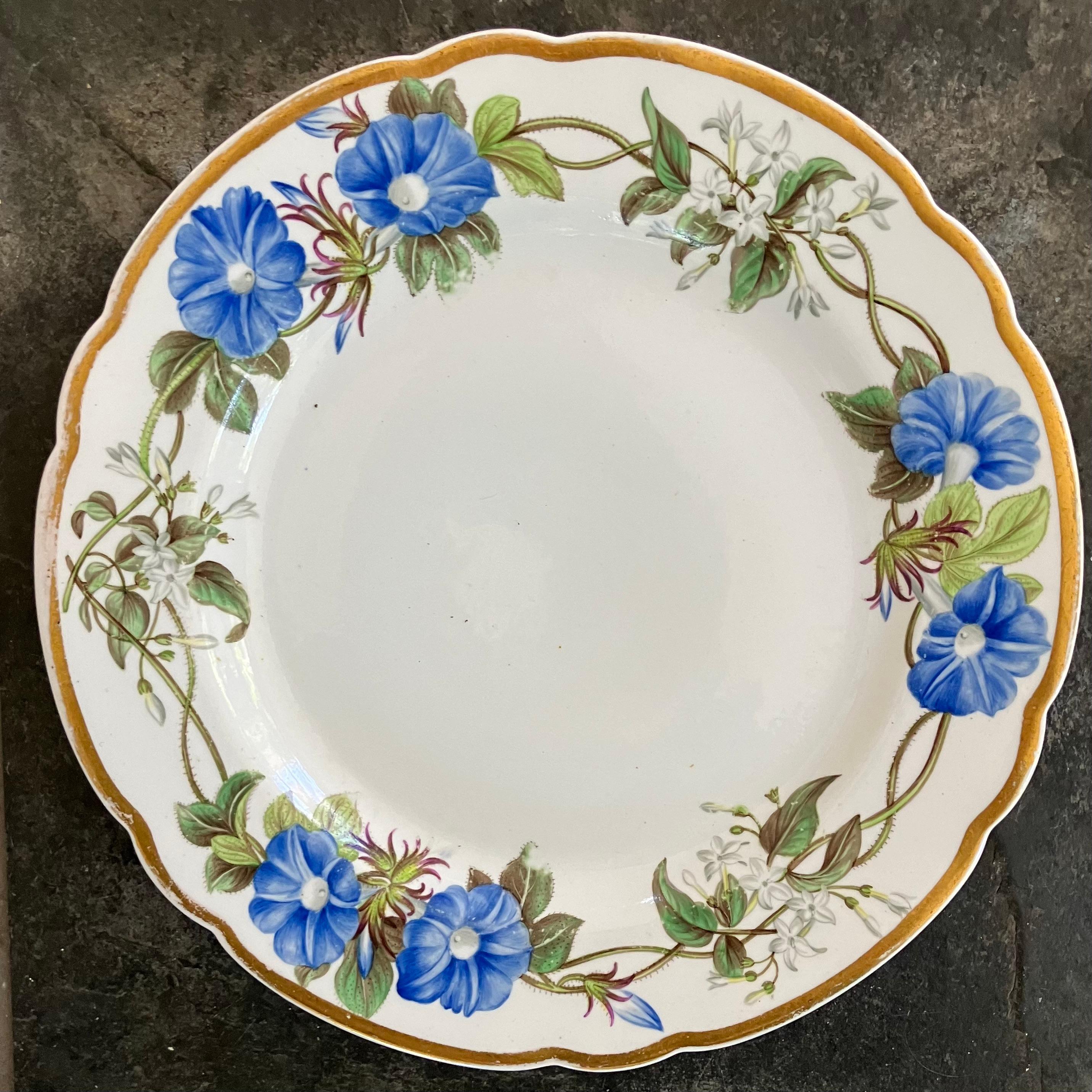 Spode Spring Plates Set of Fourteen Spode Flower Plates For Sale at 1stDibs