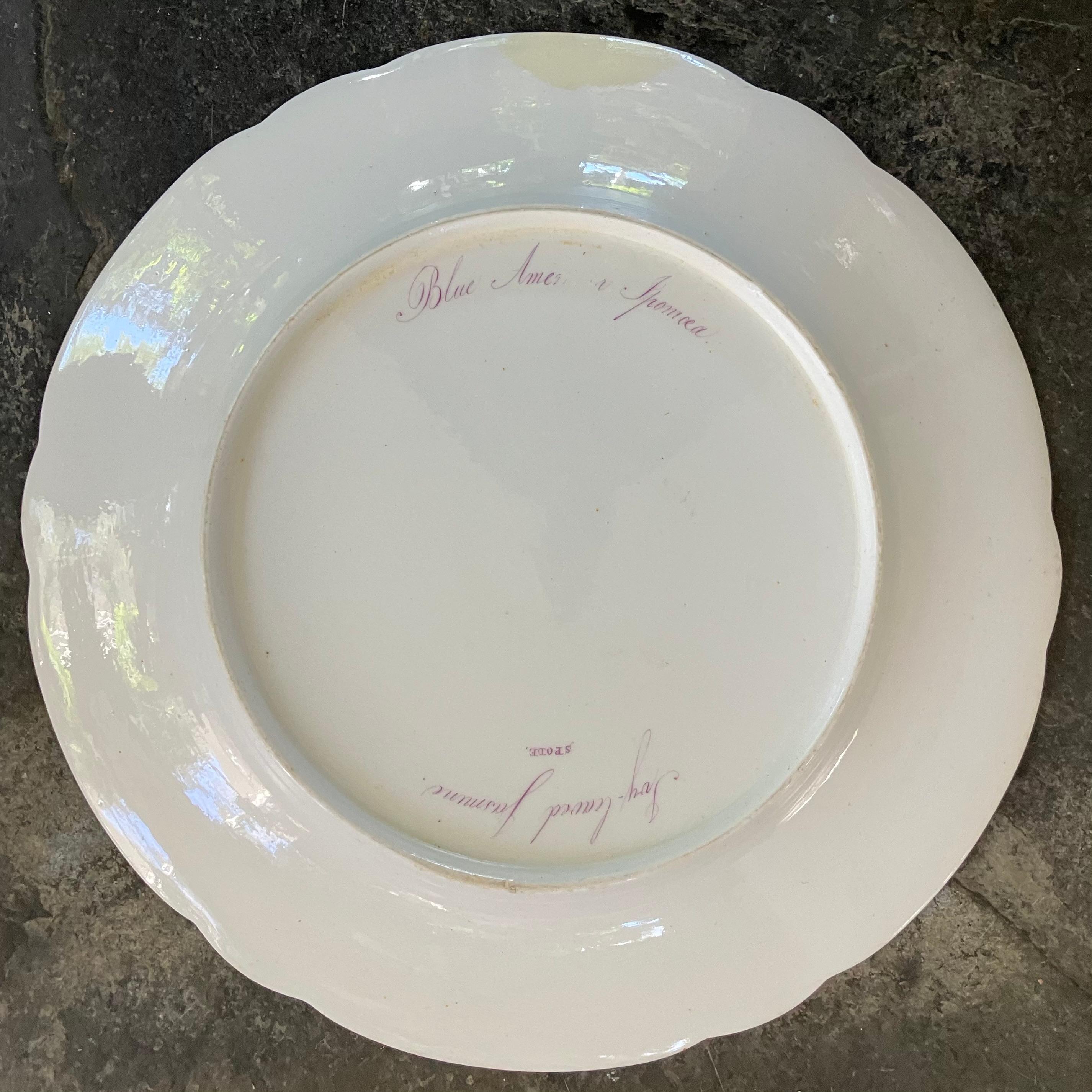Ensemble de quatorze assiettes à fleurs Spode en vente 12
