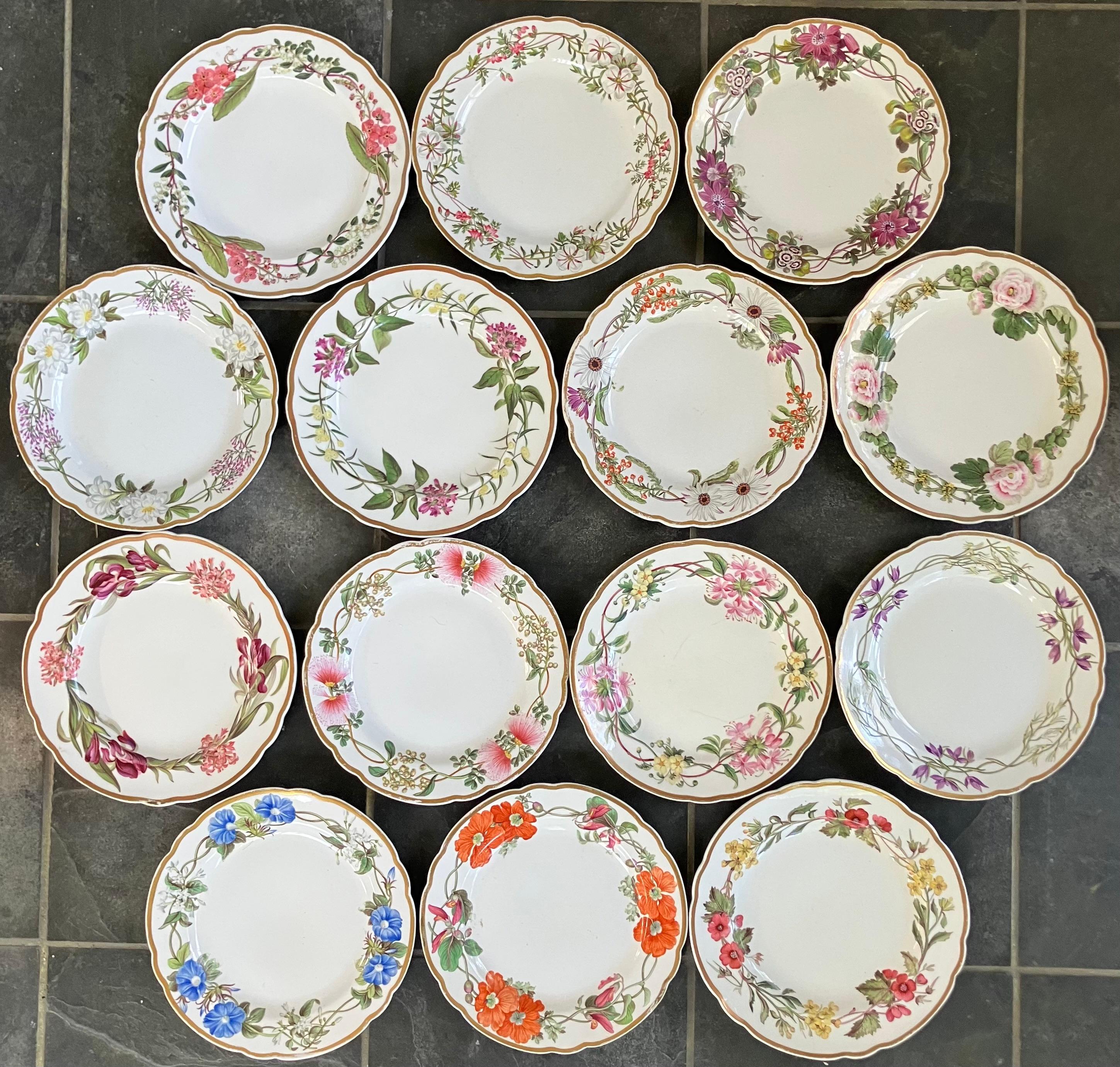 Ensemble de quatorze assiettes florales de Spode. Quatorze assiettes légèrement festonnées et dorées, chacune ornée d'une couronne botanique florale entrelacée peinte de façon unique ; elles proviennent de l'usine de Josiah Spode qui travaillait