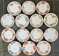 Set of Fourteen Spode Flower Plates