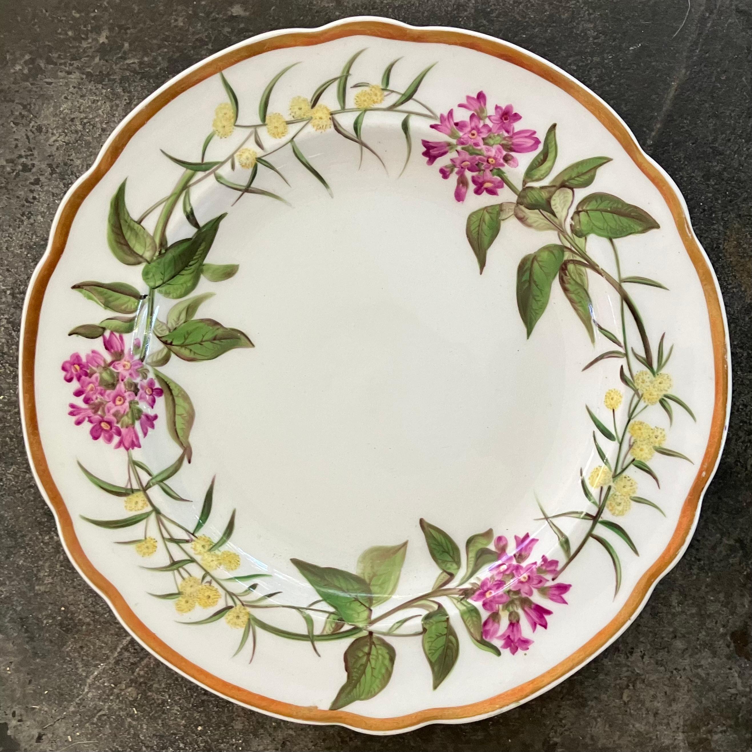 Anglais Ensemble de quatorze assiettes à fleurs Spode en vente