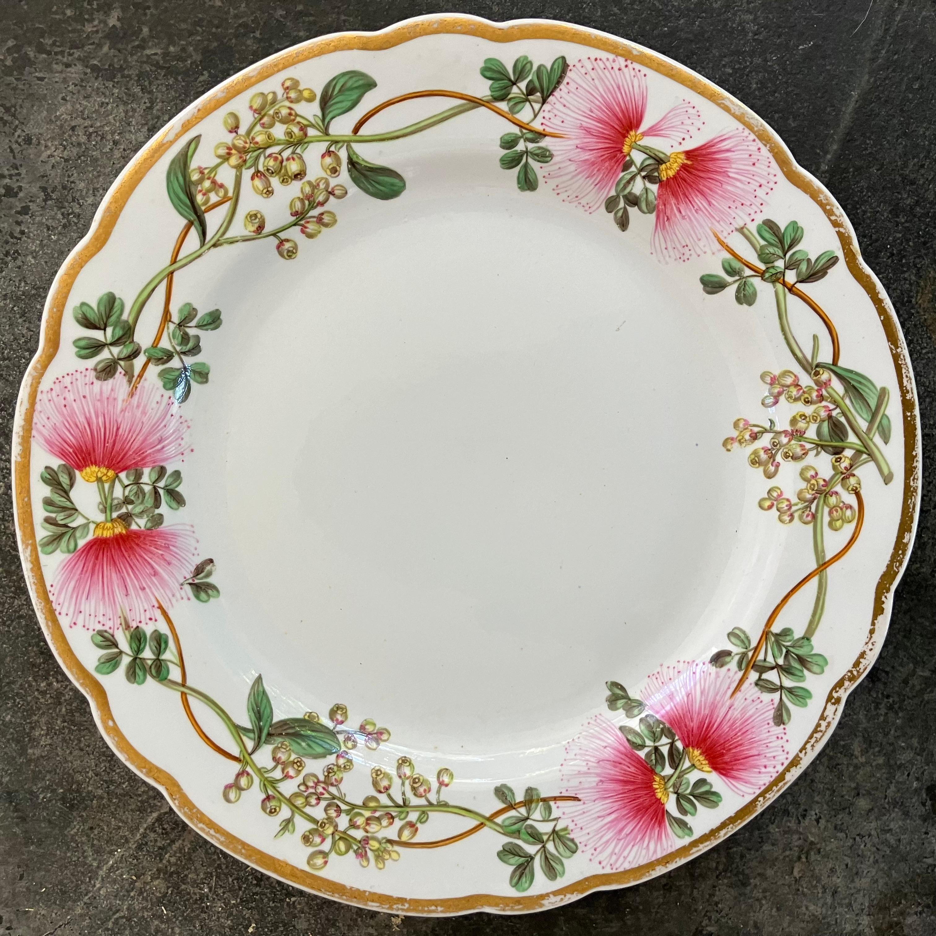 Porcelaine Ensemble de quatorze assiettes à fleurs Spode en vente