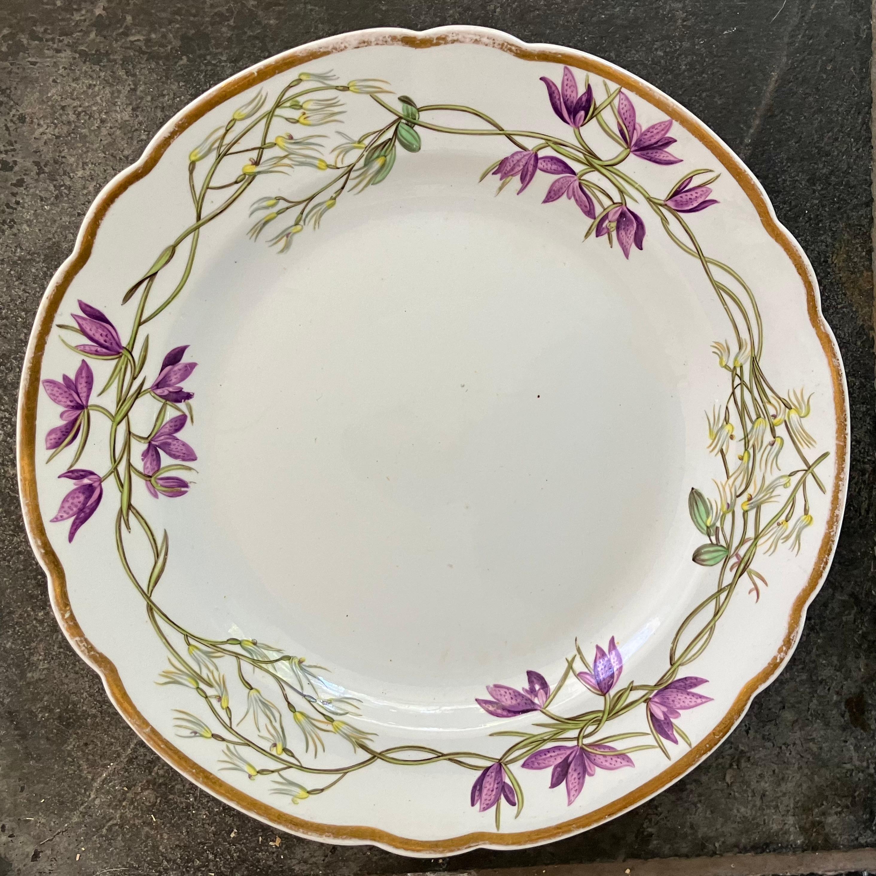 Ensemble de quatorze assiettes à fleurs Spode en vente 1