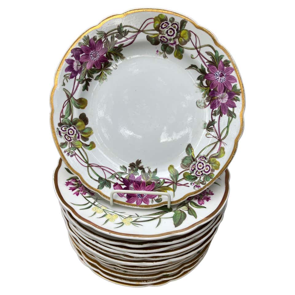 Set of 12 English Porcelain Botanical Plates, Spode, circa 1900 For ...
