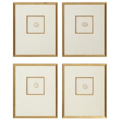 Set of Framed Intaglios