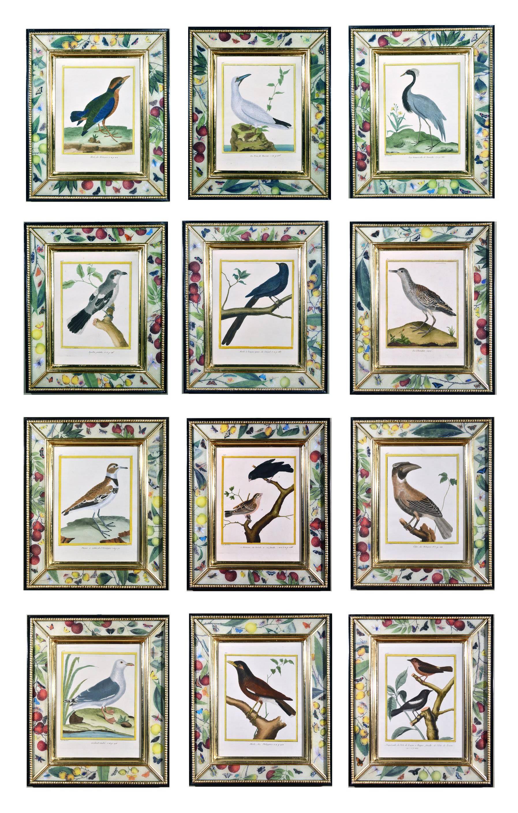 Set of Francois Nicolas Martinet Engravings of Birds,
Histoire Naturelle Des Oiseaux,
(Twelve engravings),
1770-1786.

A remarkable set of twelve engravings of birds by the renowned artist Francois Nicholas Martinet all within decoupage frames