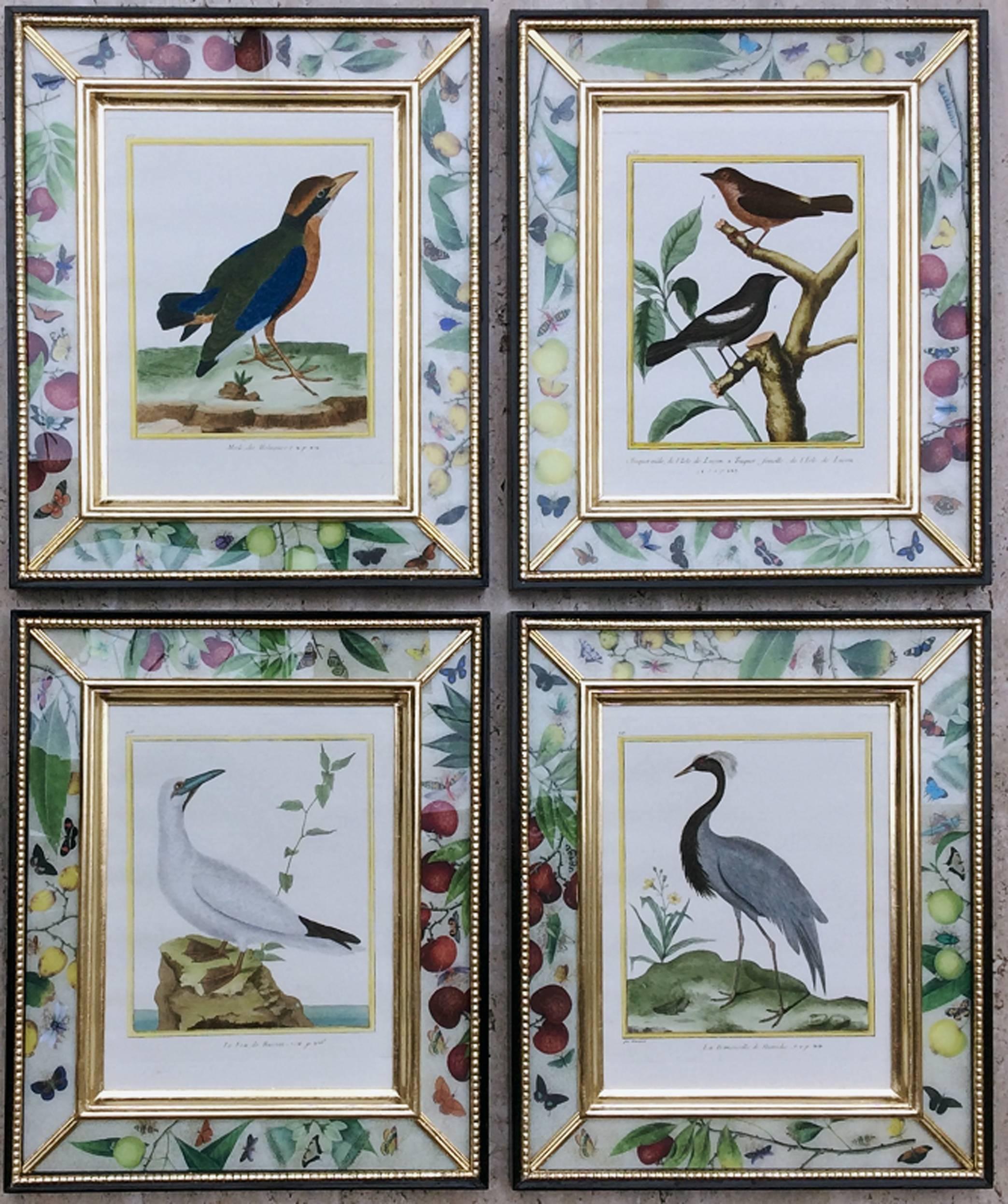 Georgian Set of Francois Nicolas Martinet Engravings of Birds, 1770-1786