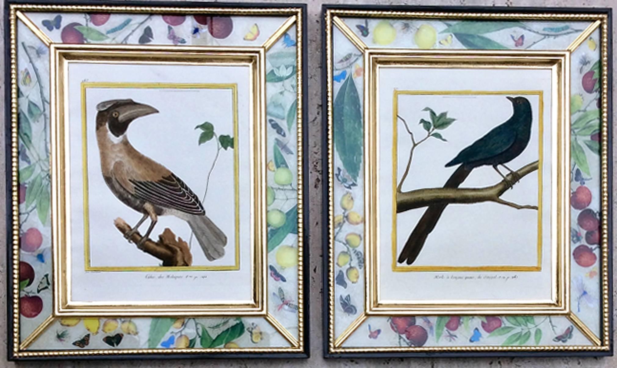 18th Century Set of Francois Nicolas Martinet Engravings of Birds, 1770-1786