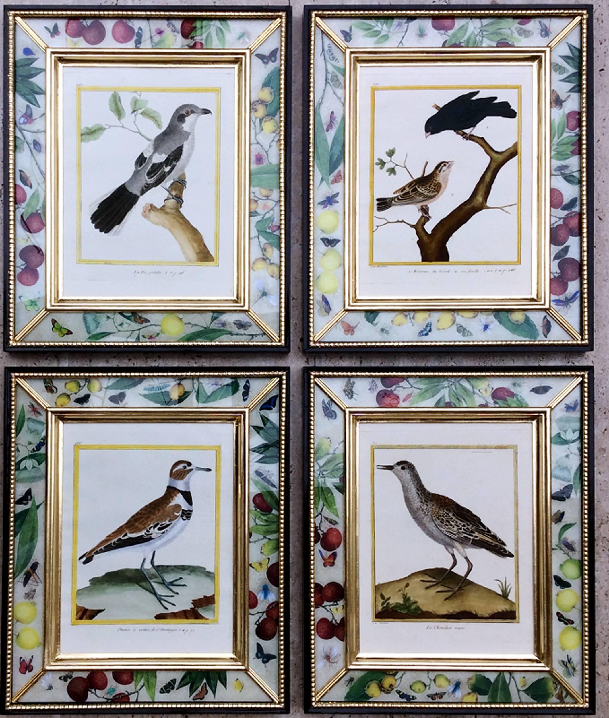 Set of Francois Nicolas Martinet Engravings of Birds, 1770-1786 1